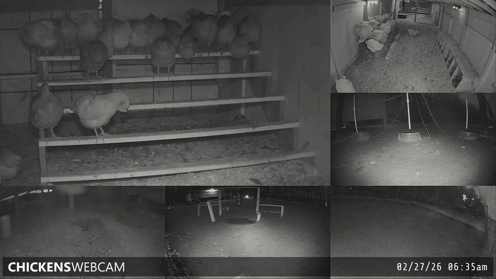 Twitch Stream Preview