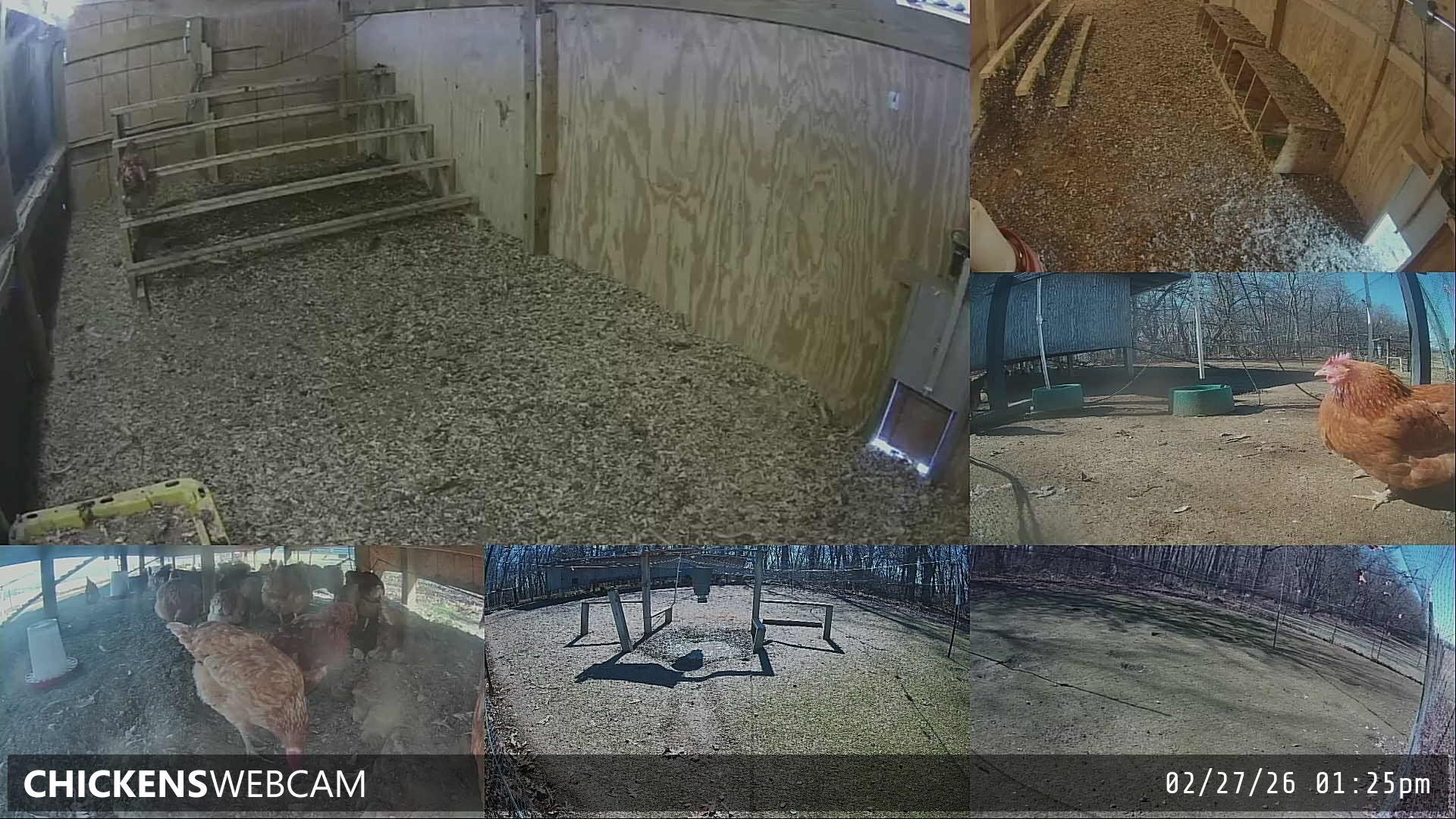 Twitch Stream Preview