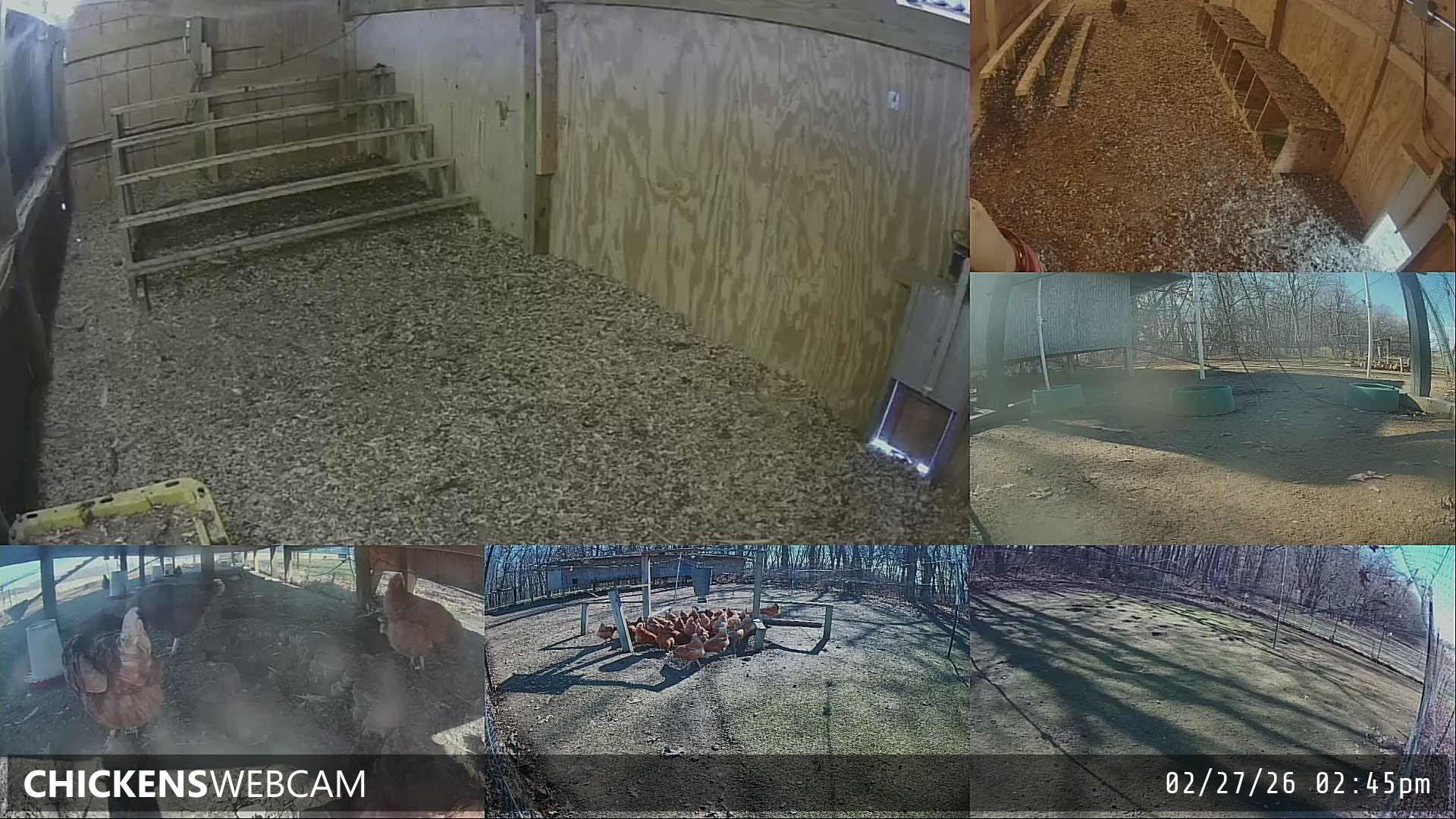 Twitch Stream Preview