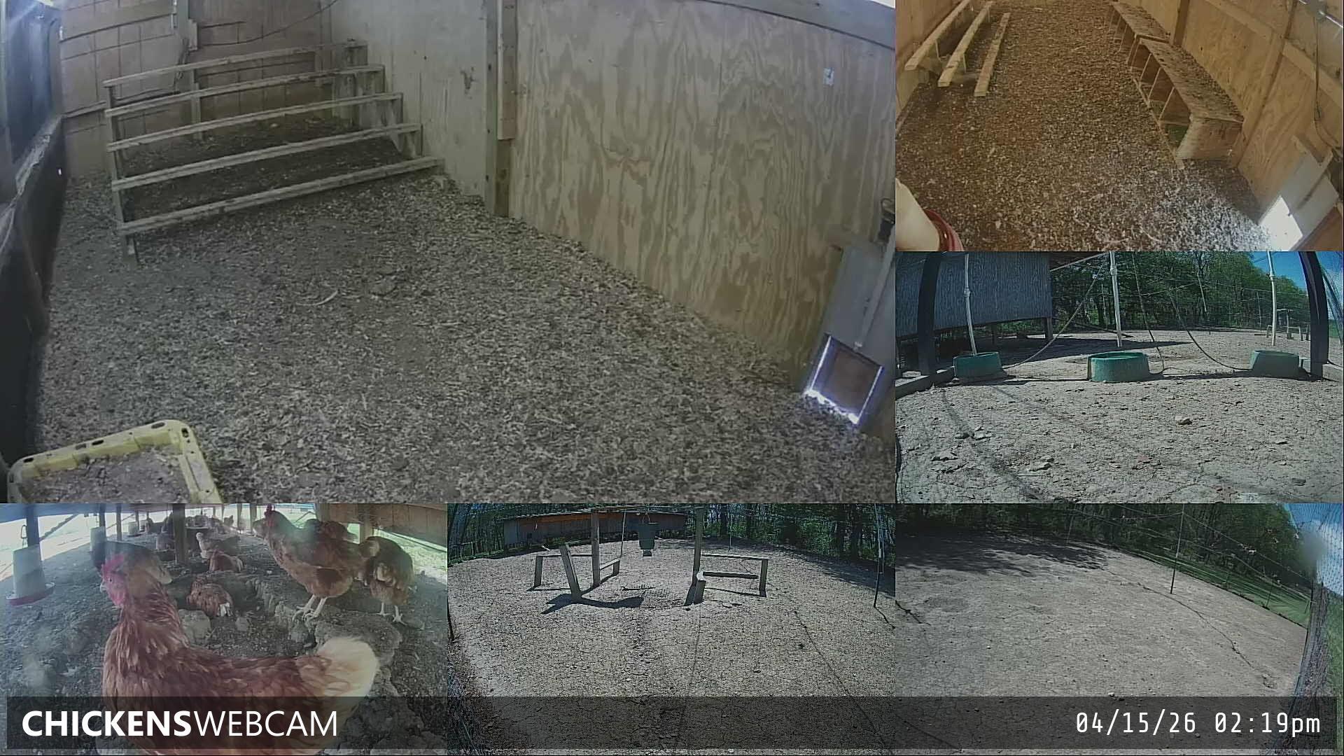 Twitch Stream Preview