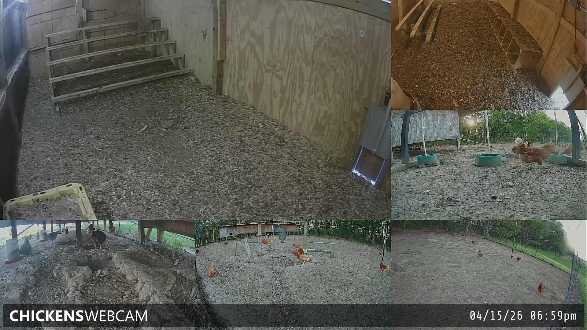 Twitch Stream Preview