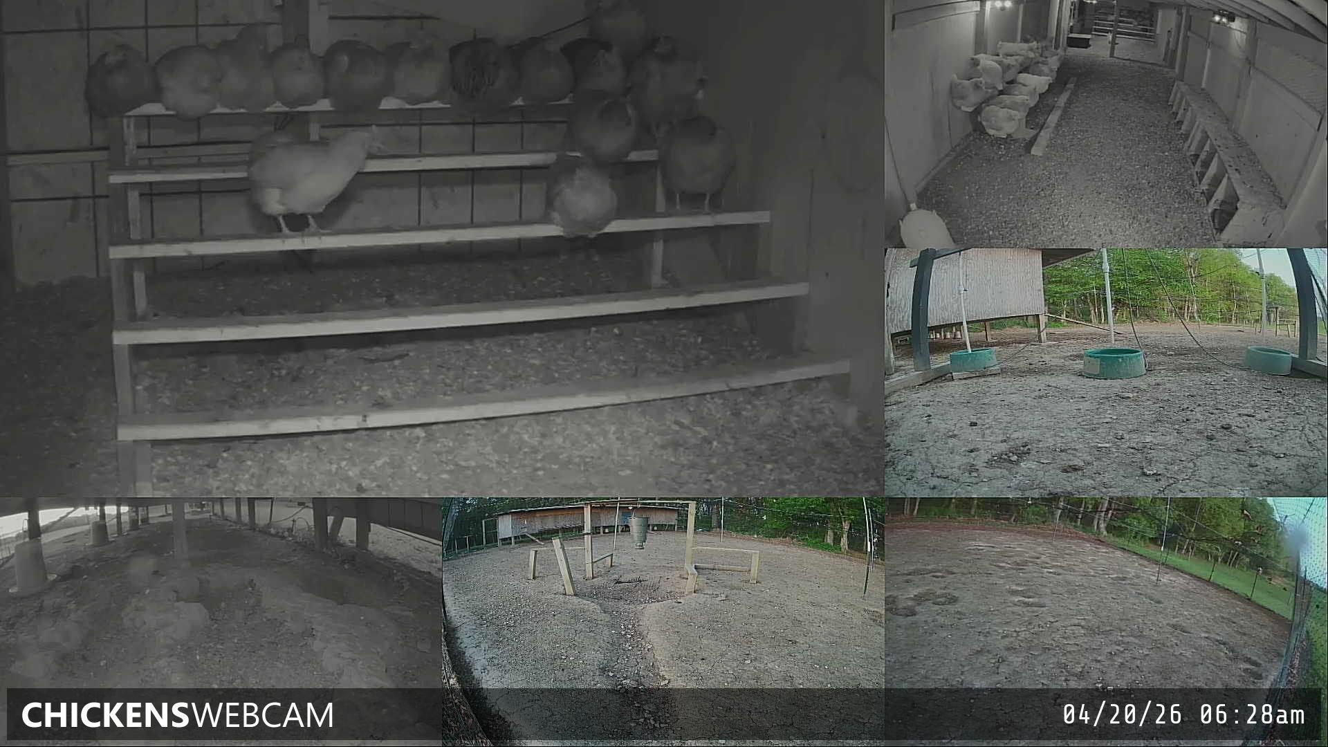 Twitch Stream Preview