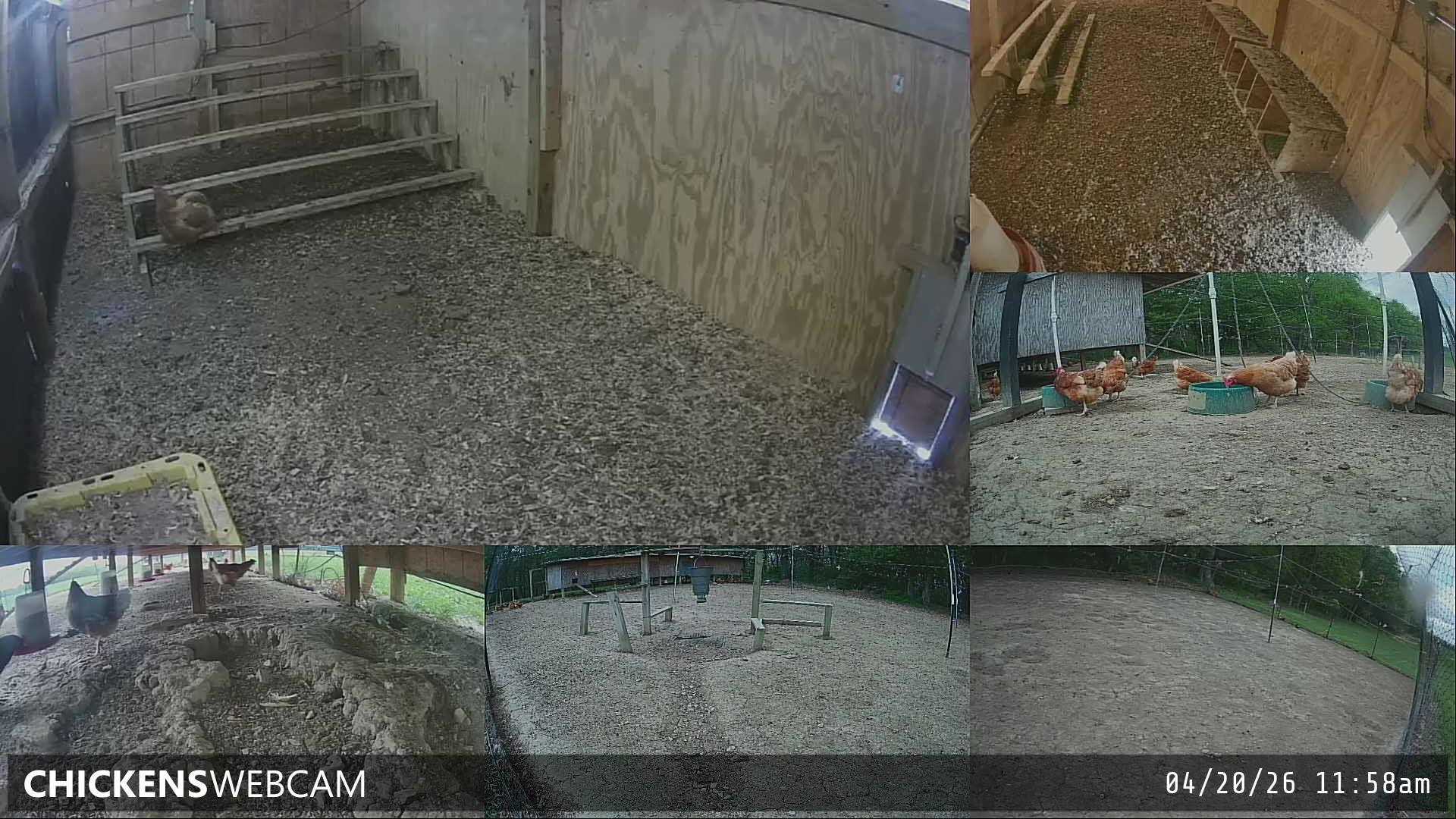 Twitch Stream Preview