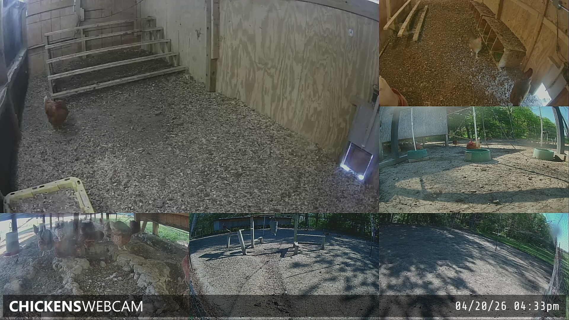 Twitch Stream Preview