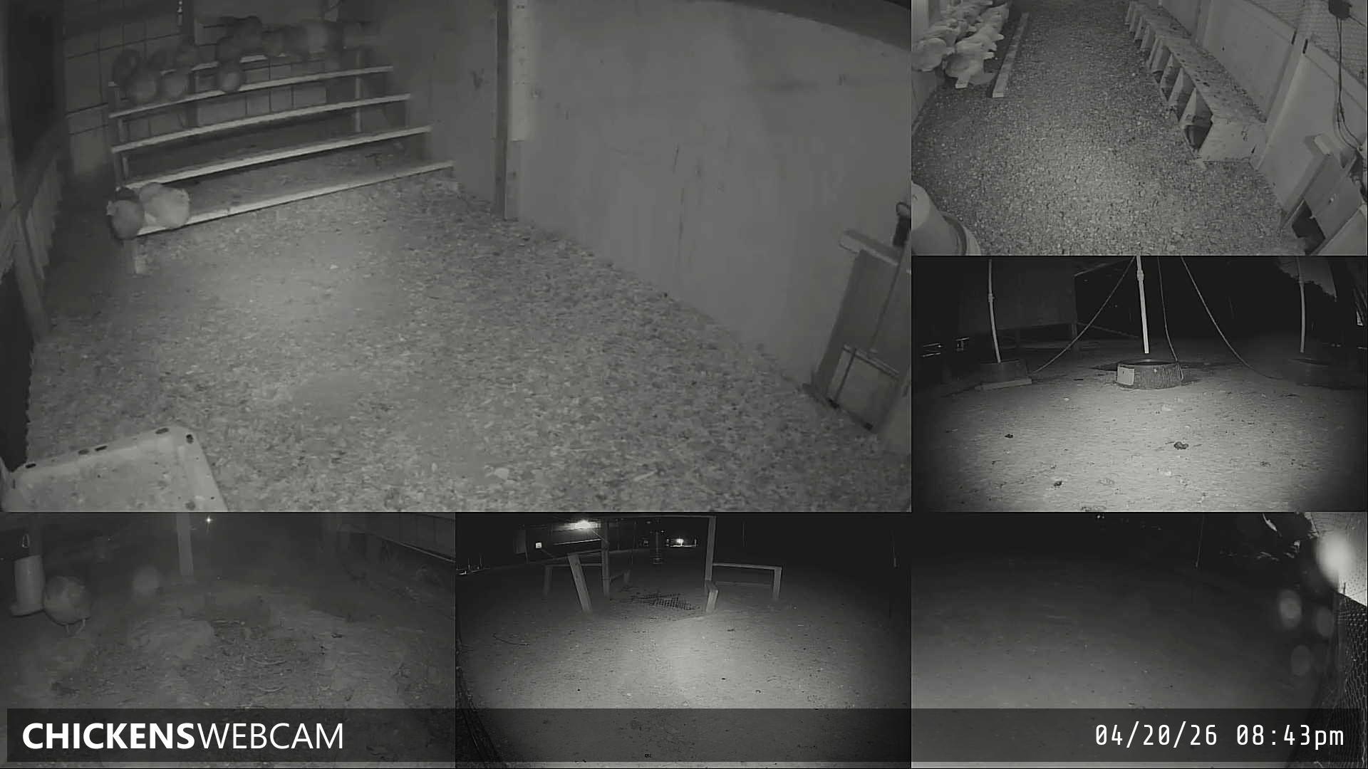 Twitch Stream Preview