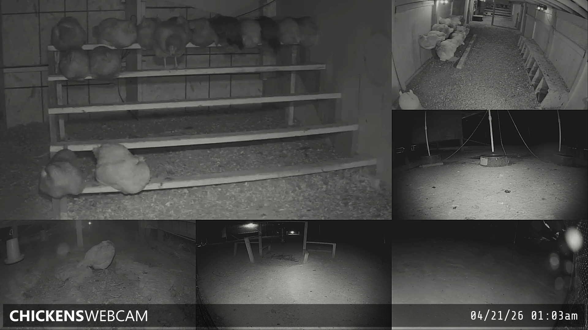 Twitch Stream Preview