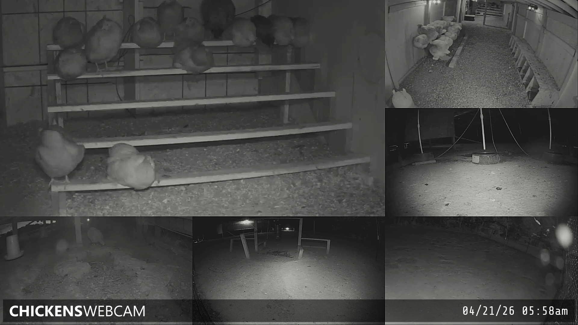 Twitch Stream Preview