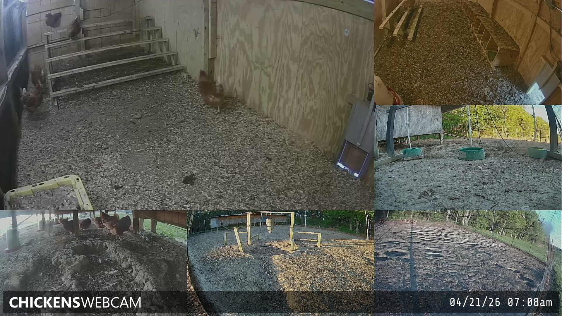 Twitch Stream Preview