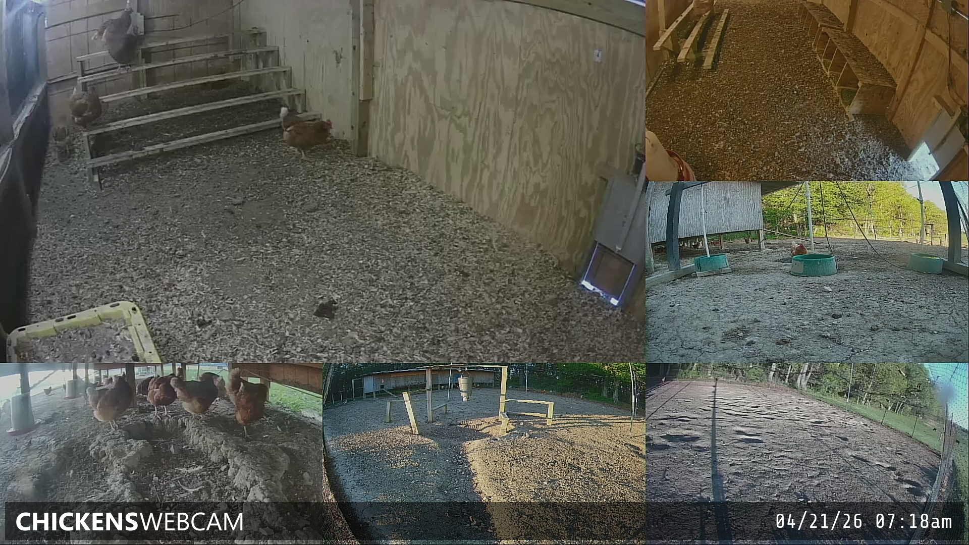 Twitch Stream Preview