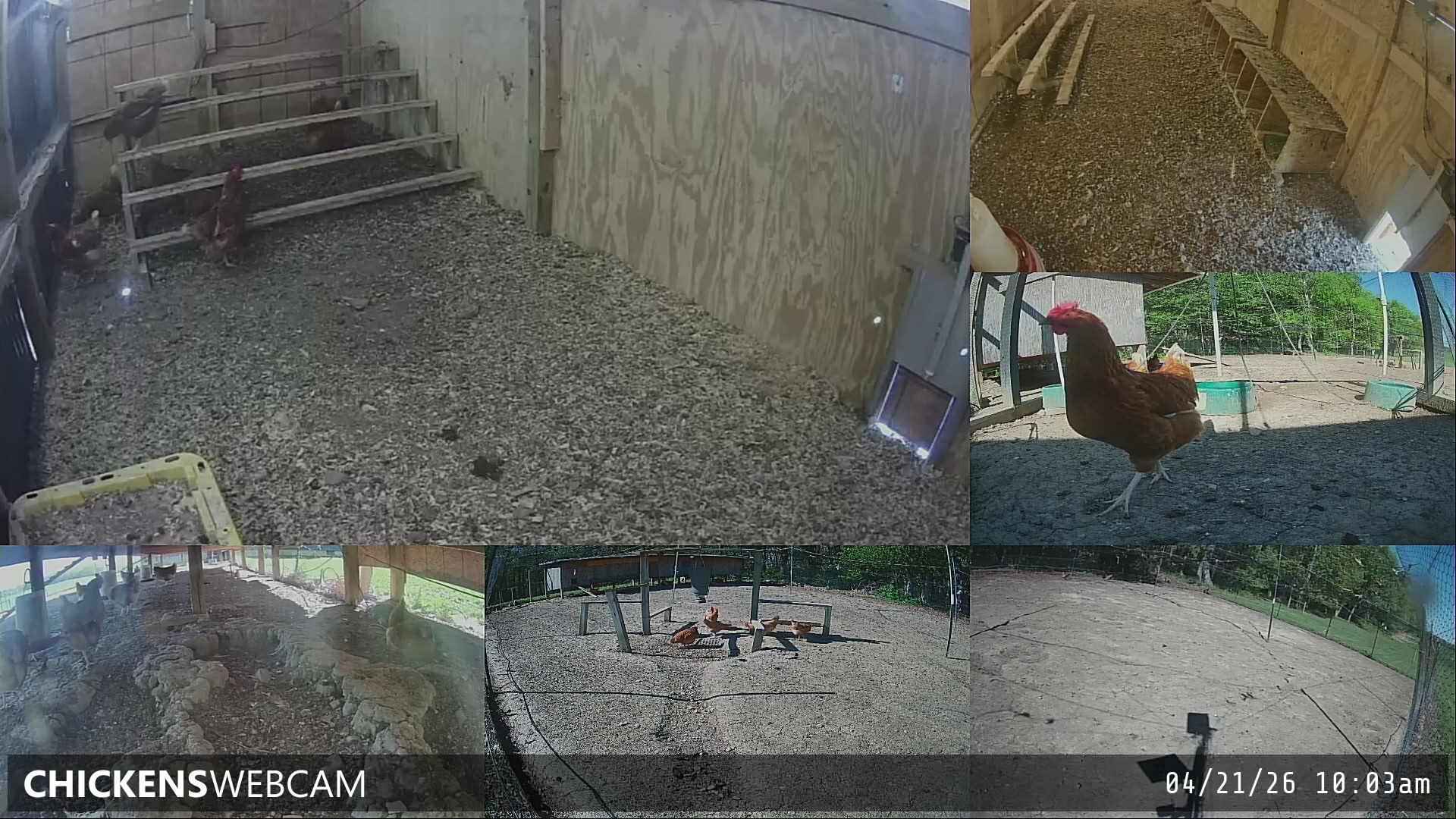 Twitch Stream Preview