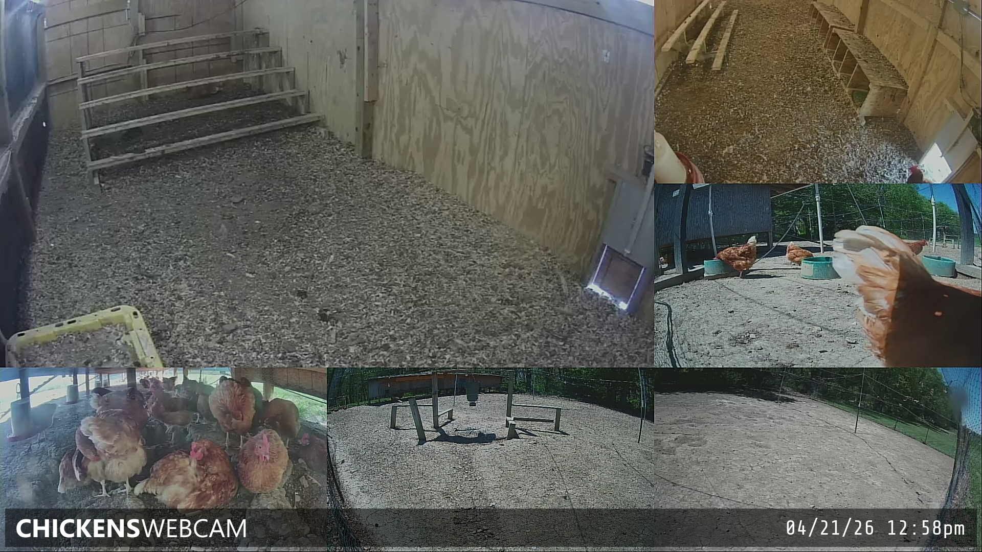 Twitch Stream Preview