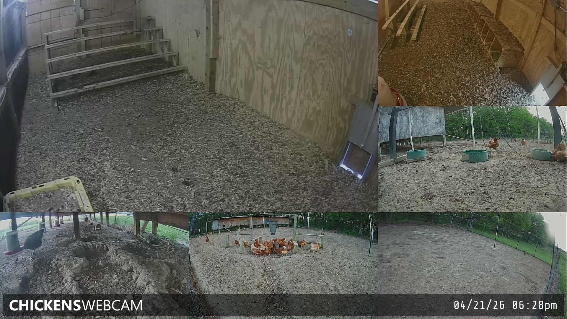 Twitch Stream Preview