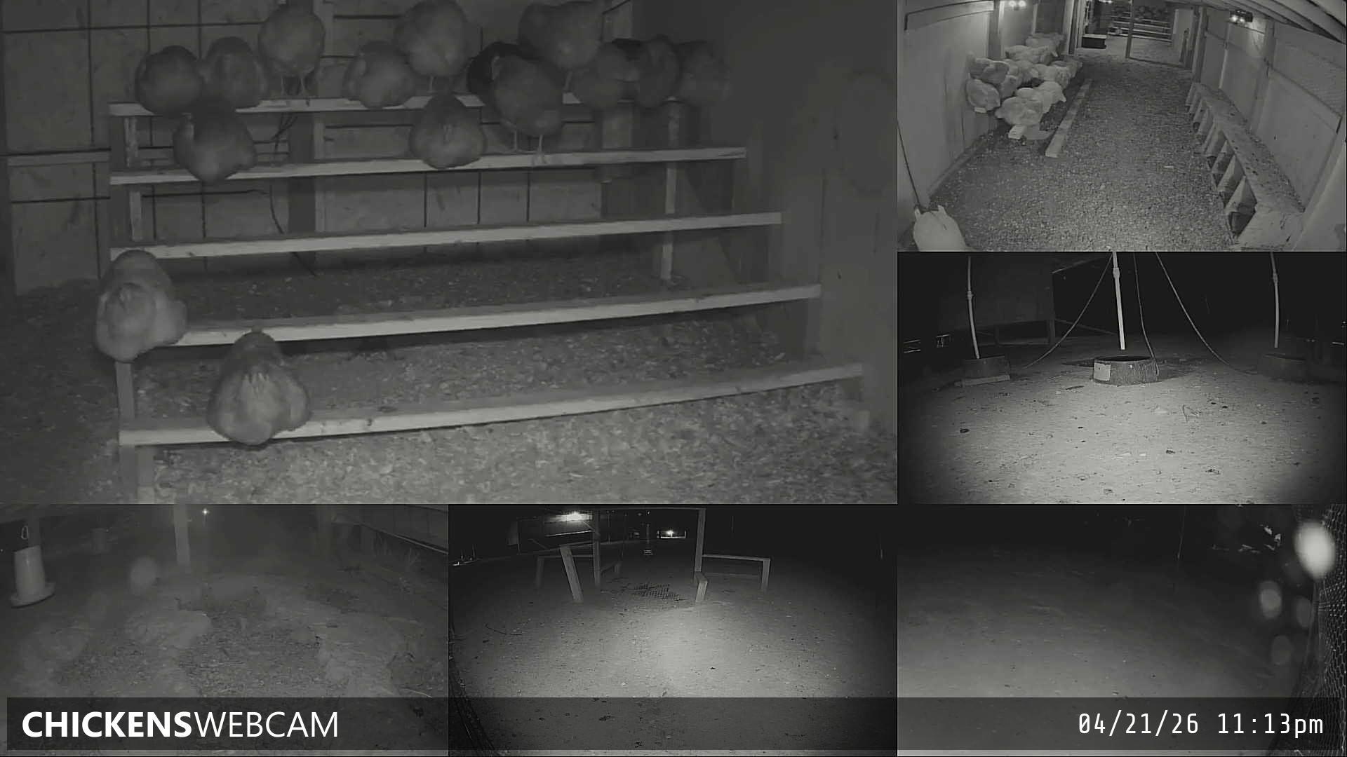 Twitch Stream Preview