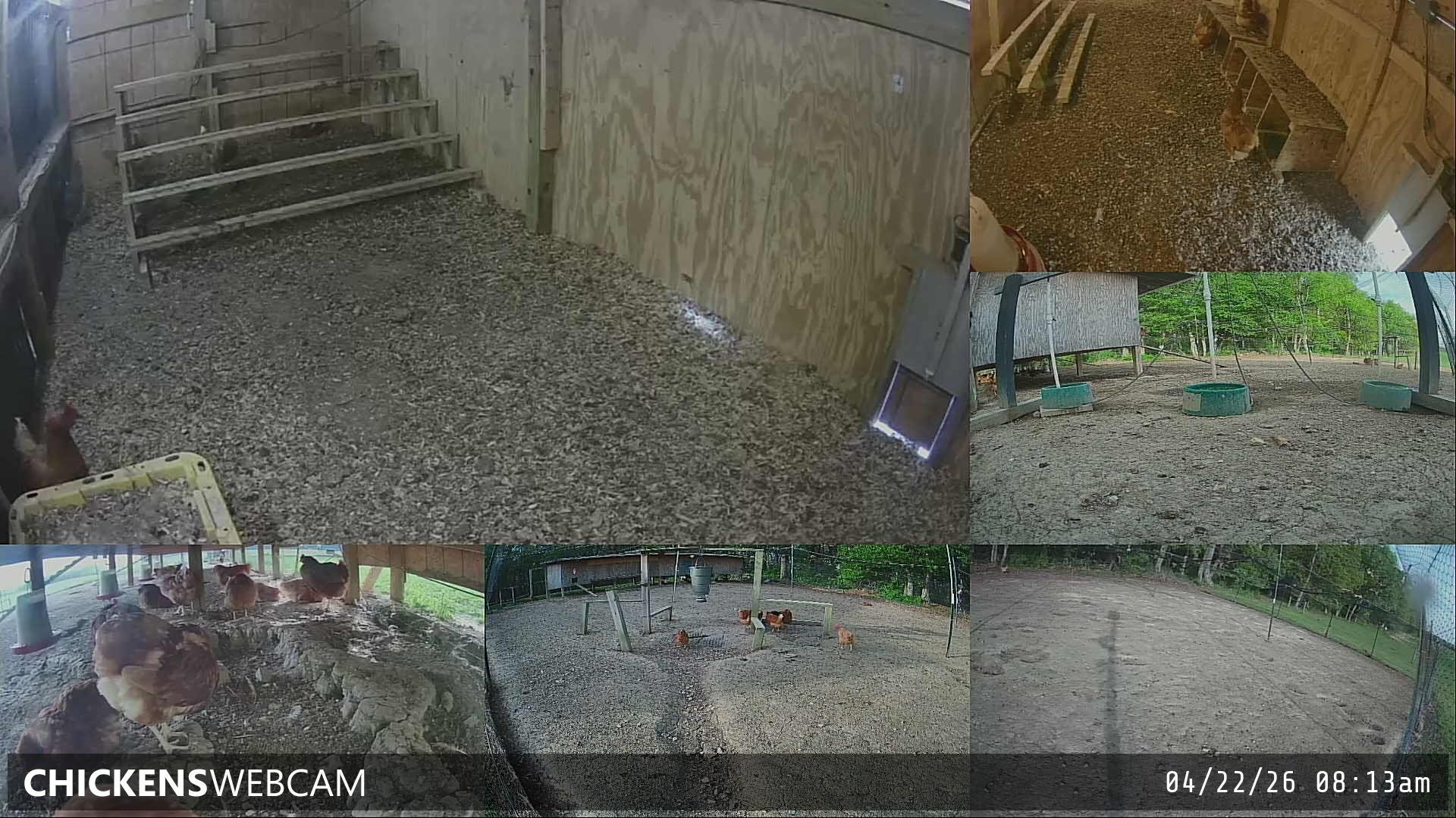 Twitch Stream Preview