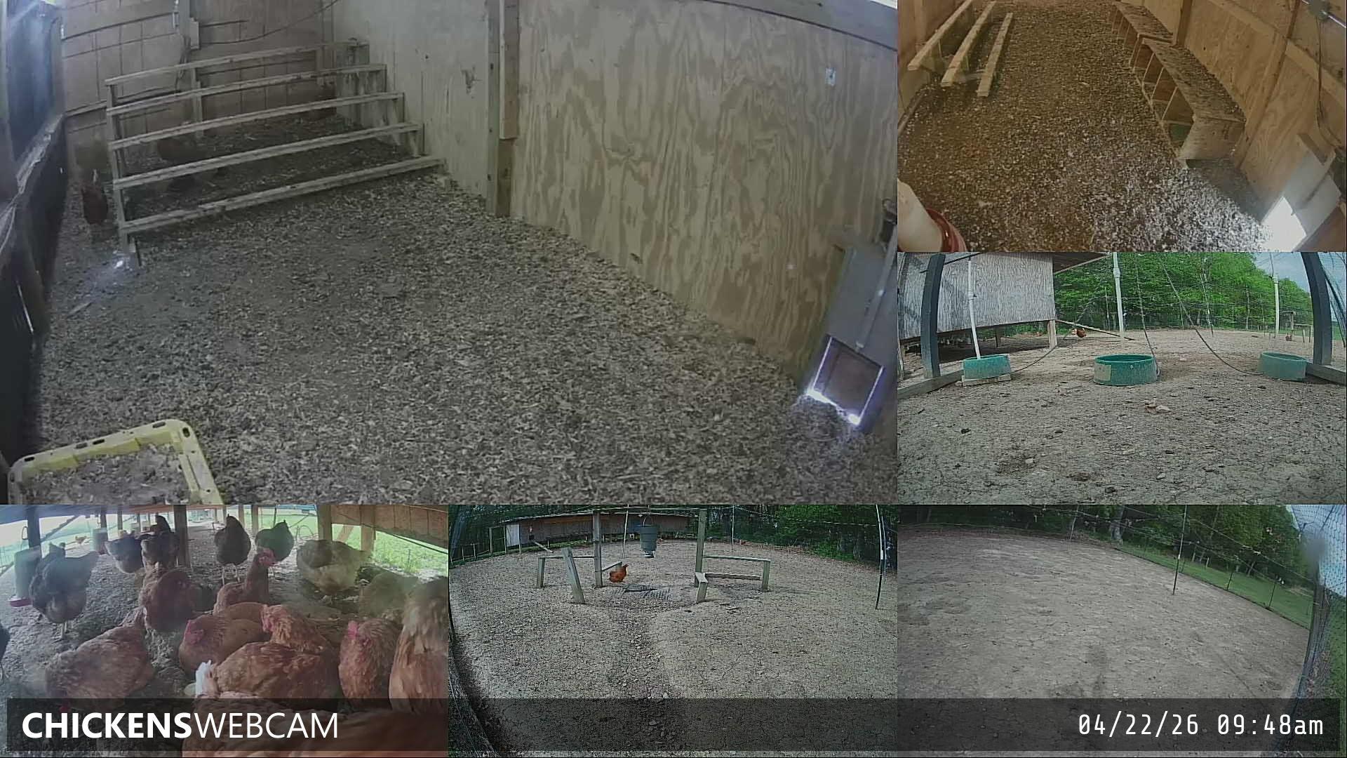 Twitch Stream Preview