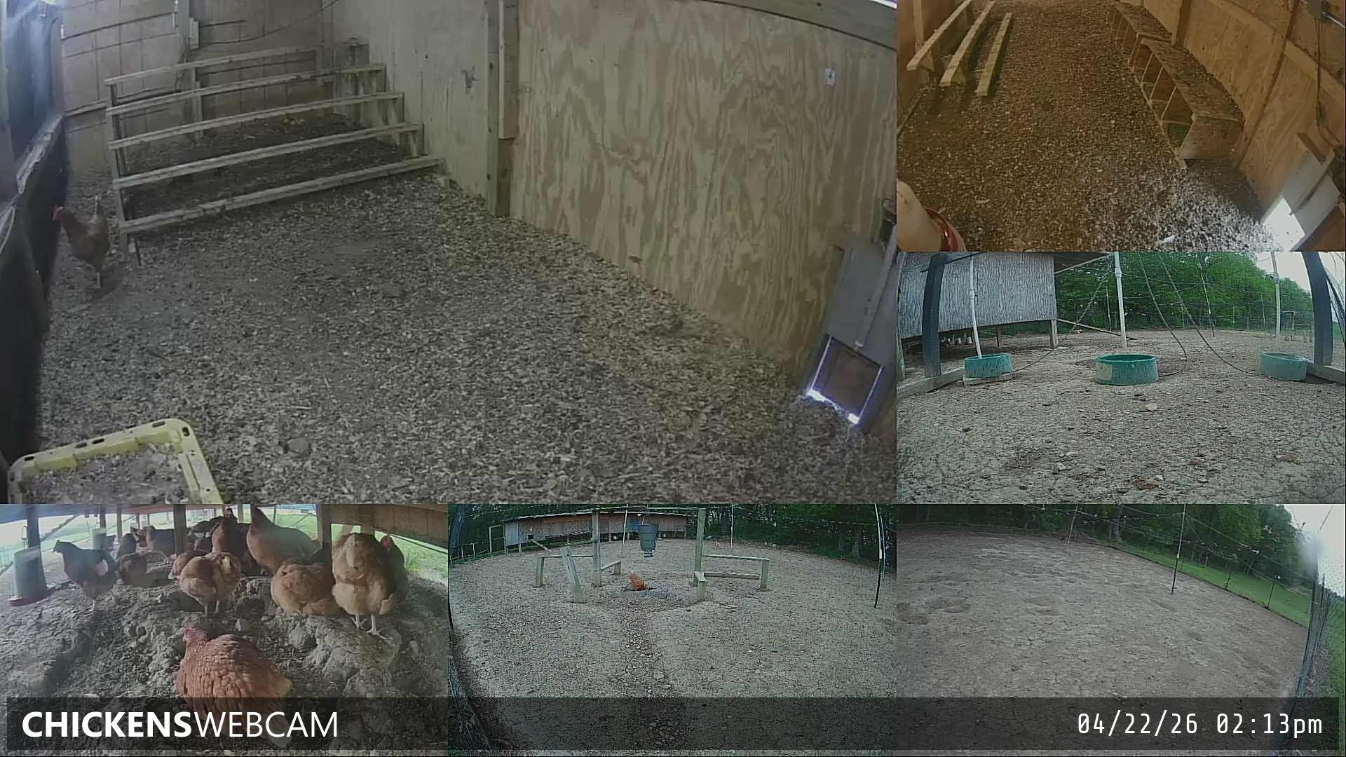 Twitch Stream Preview