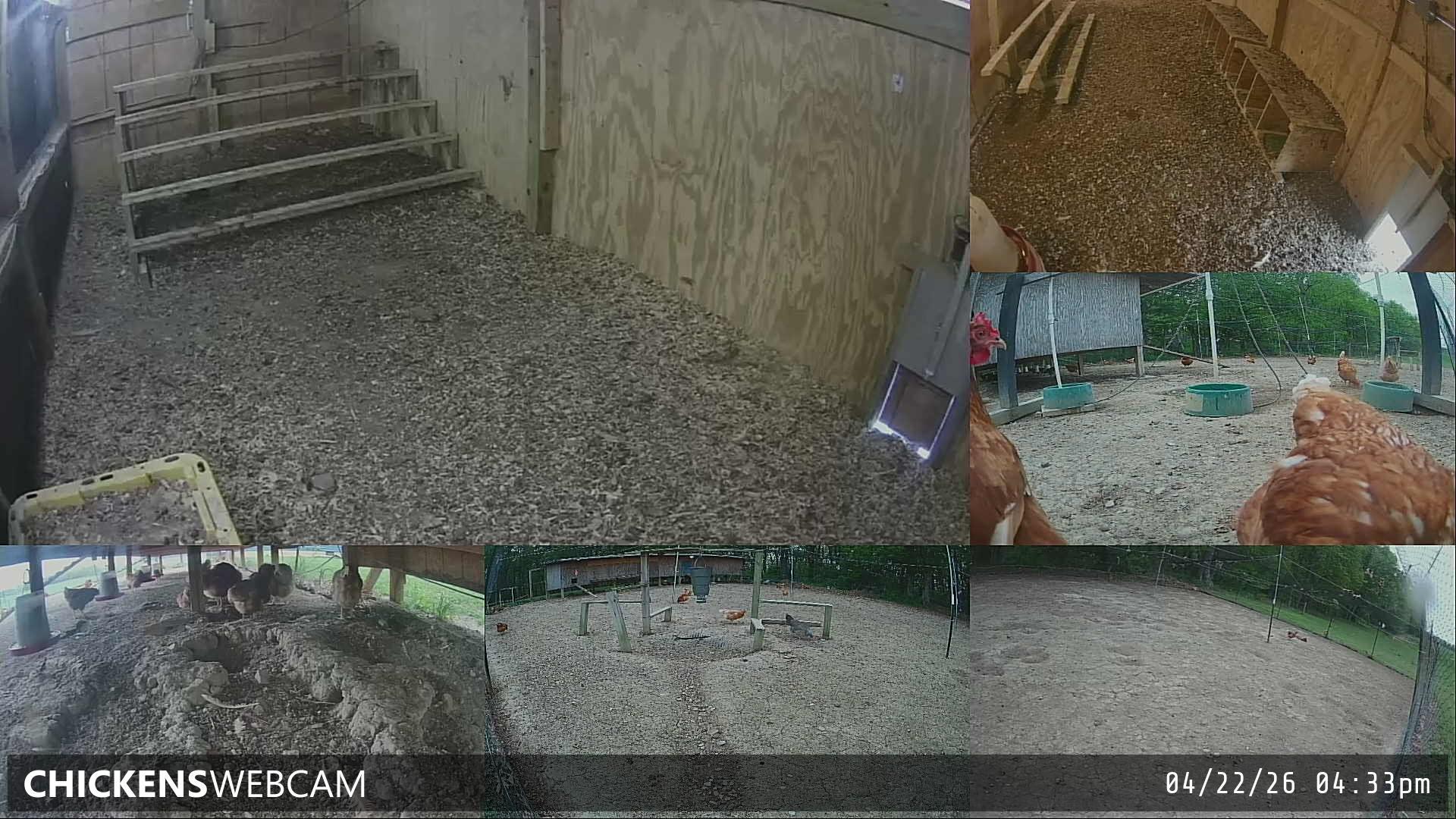 Twitch Stream Preview