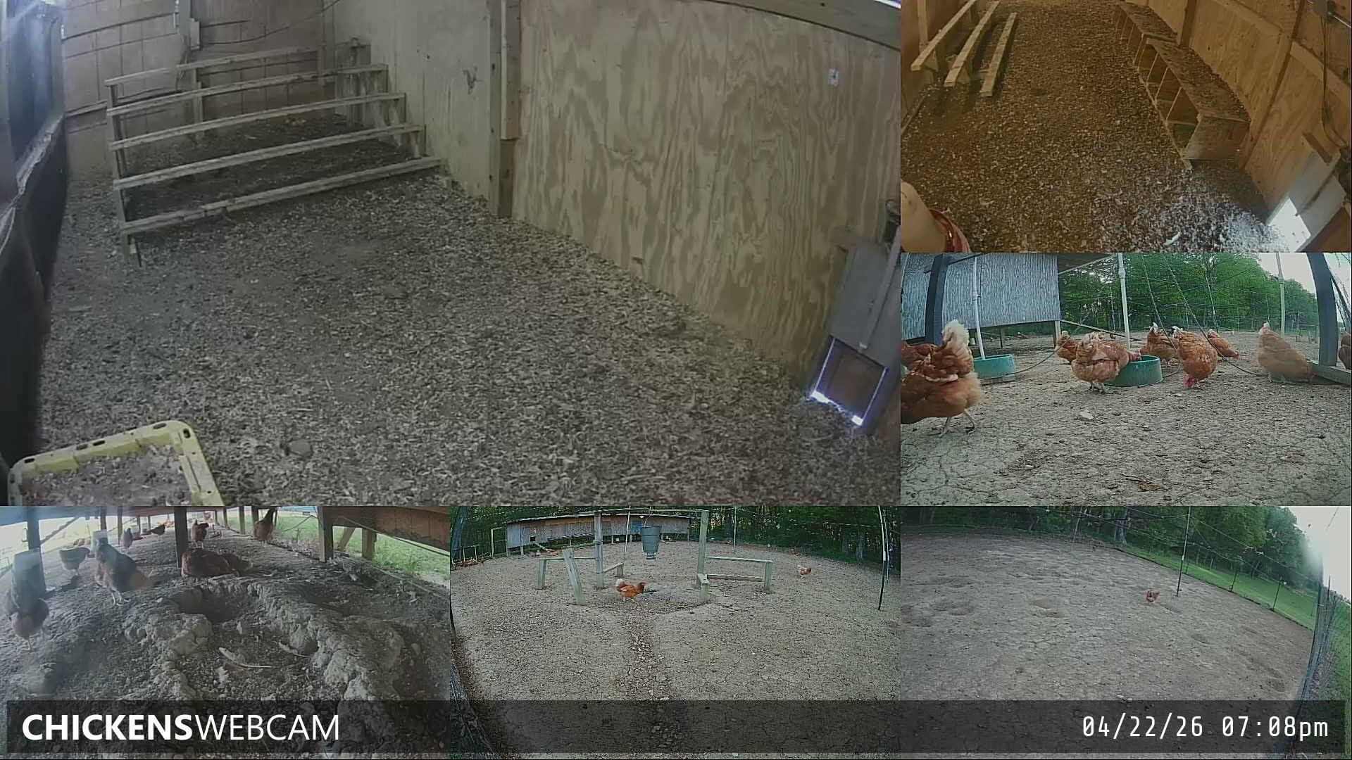 Twitch Stream Preview