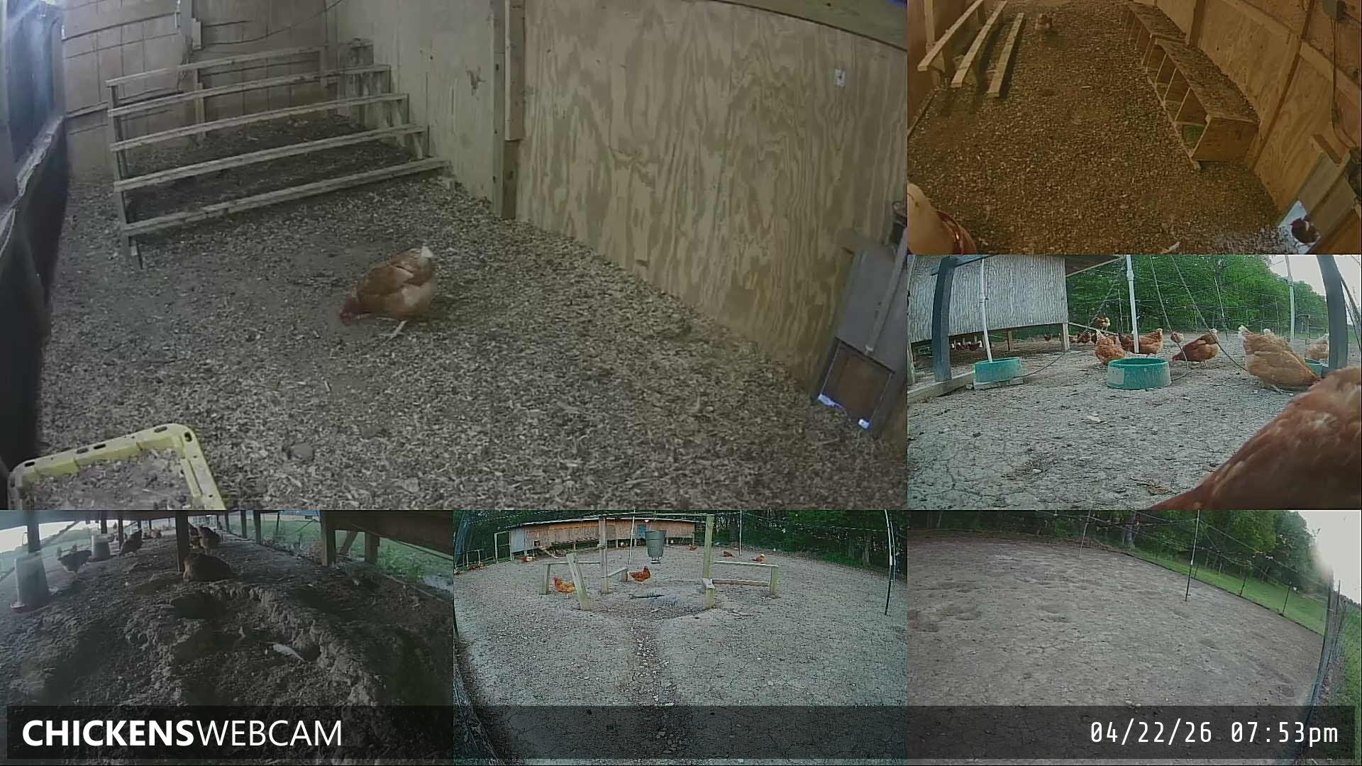 Twitch Stream Preview