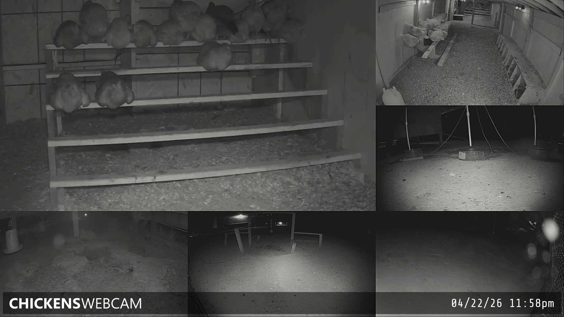 Twitch Stream Preview