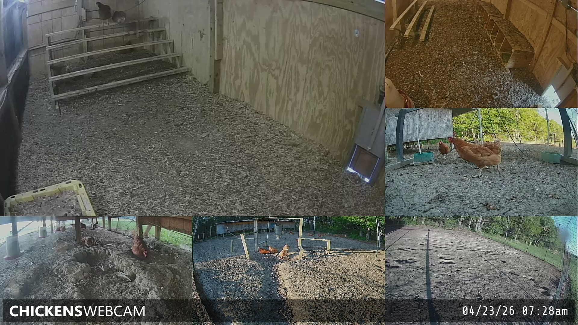 Twitch Stream Preview