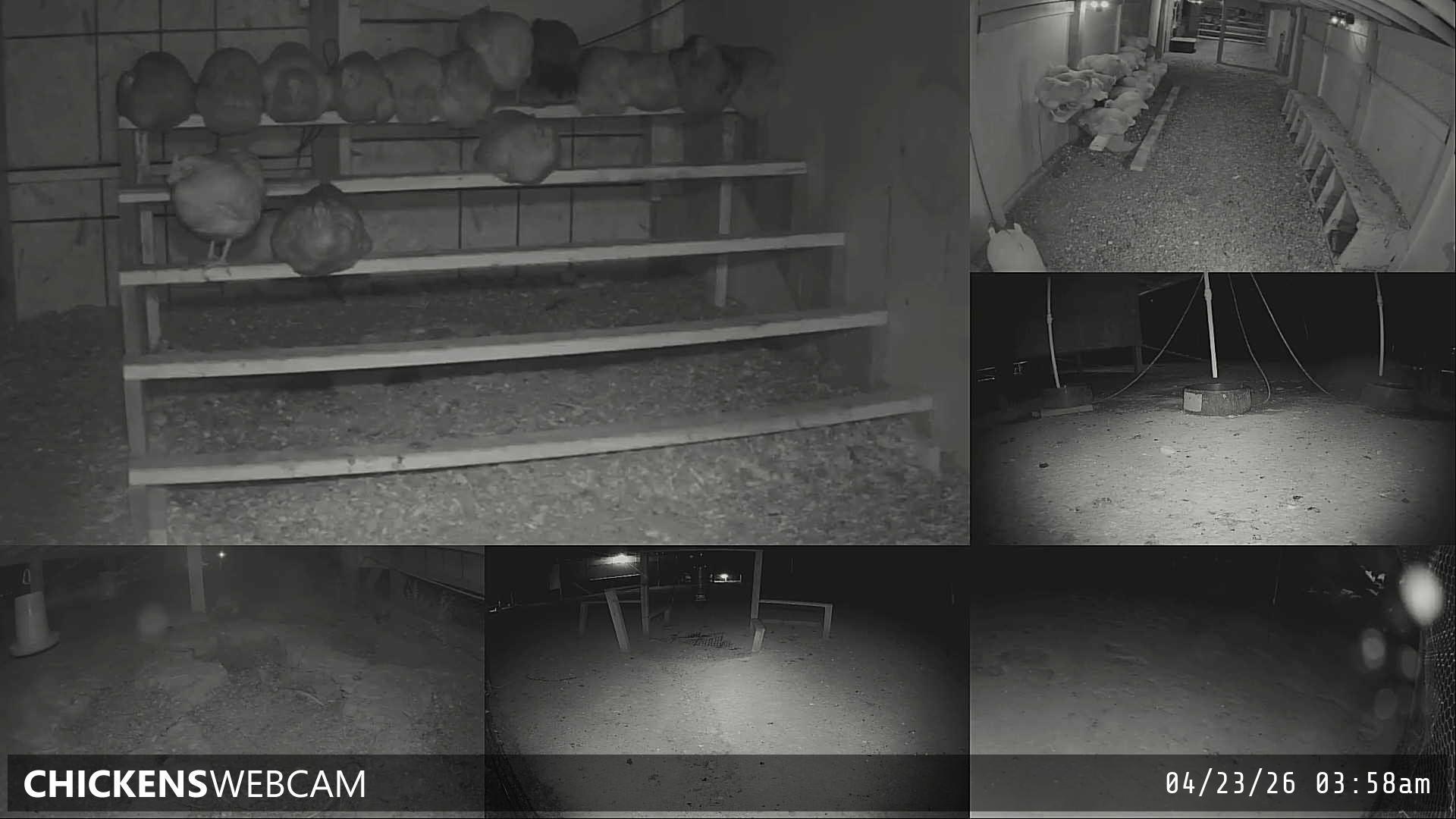 Twitch Stream Preview