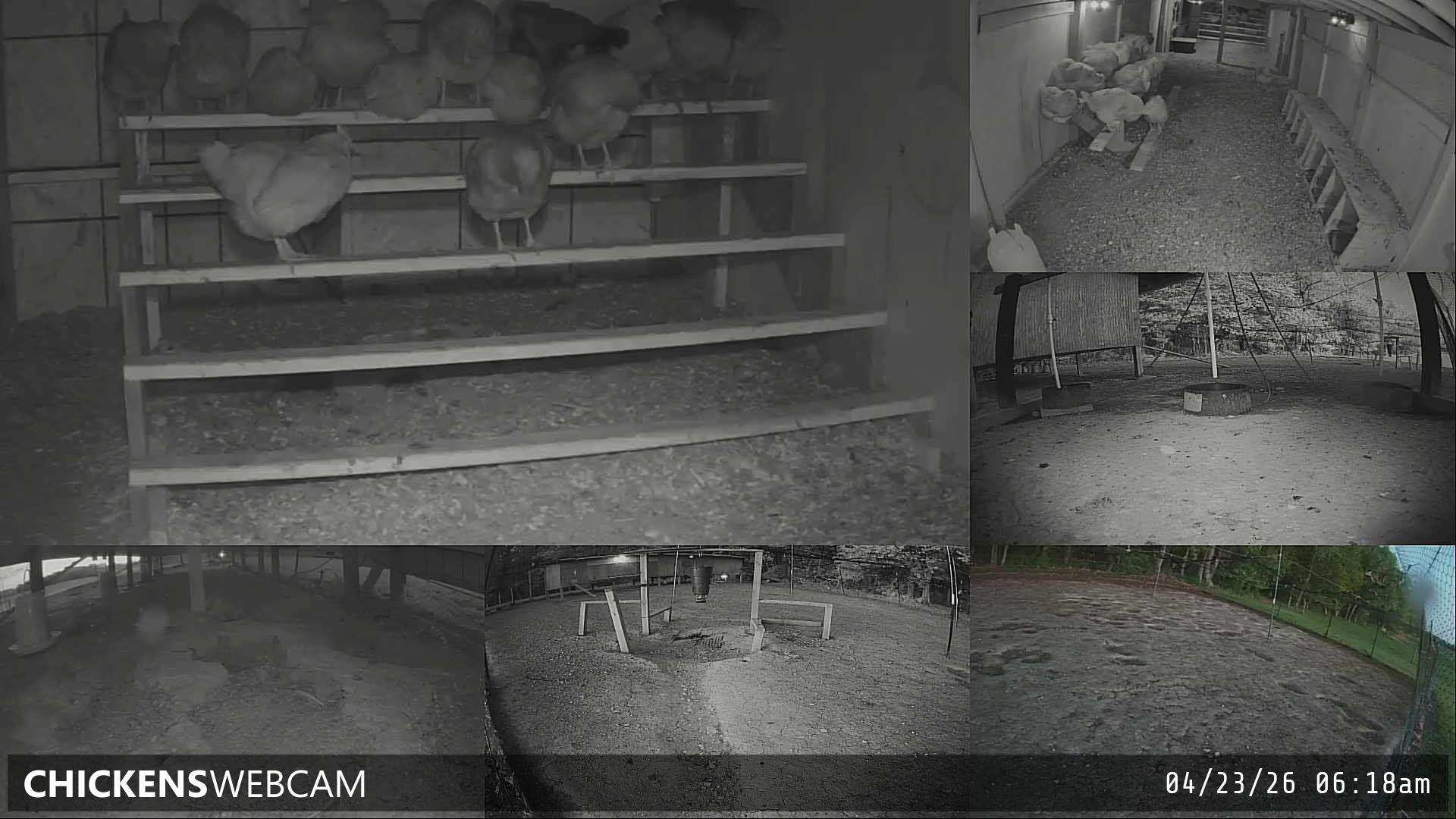 Twitch Stream Preview