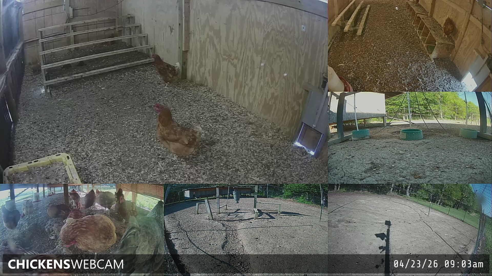 Twitch Stream Preview