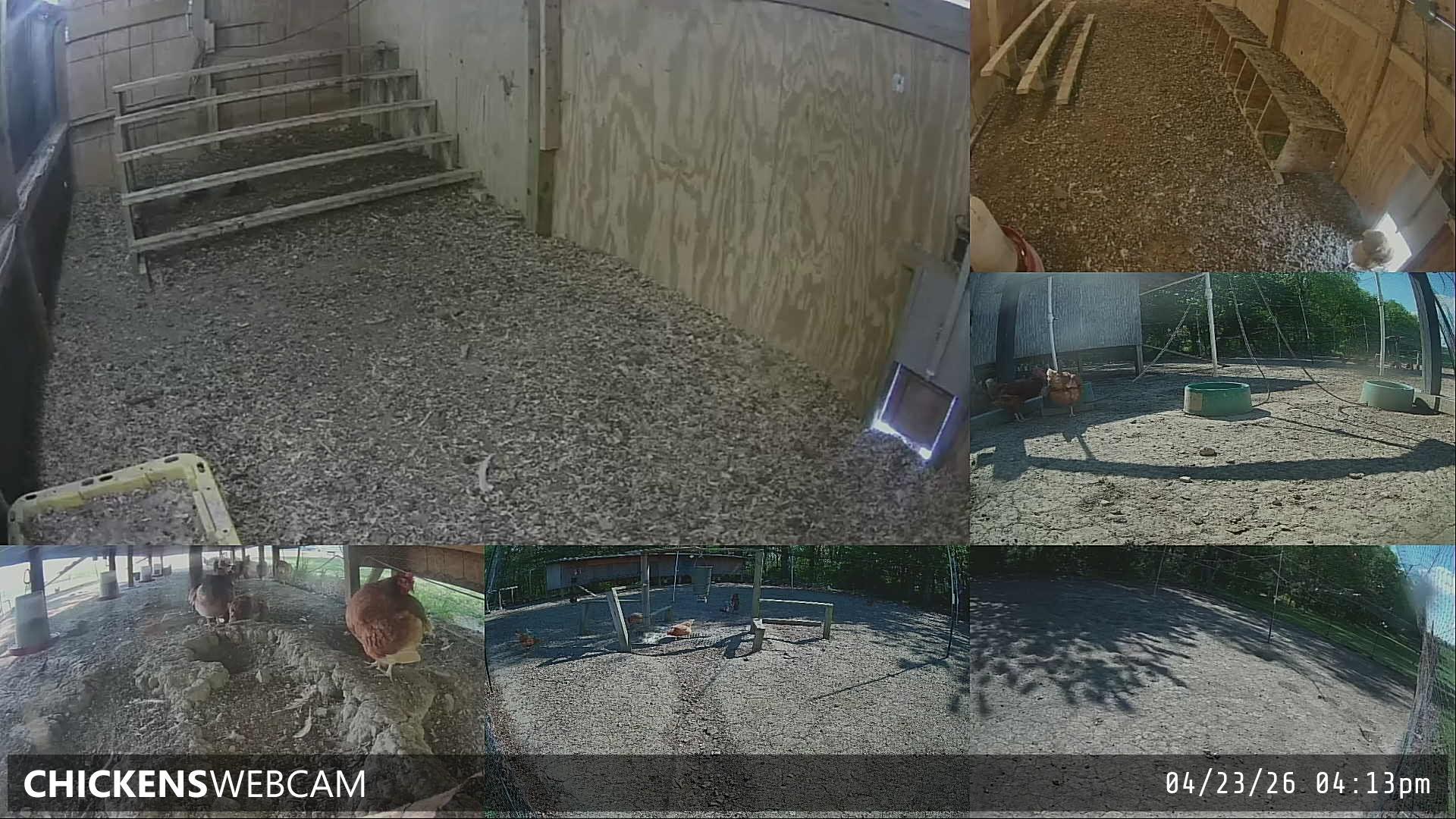 Twitch Stream Preview