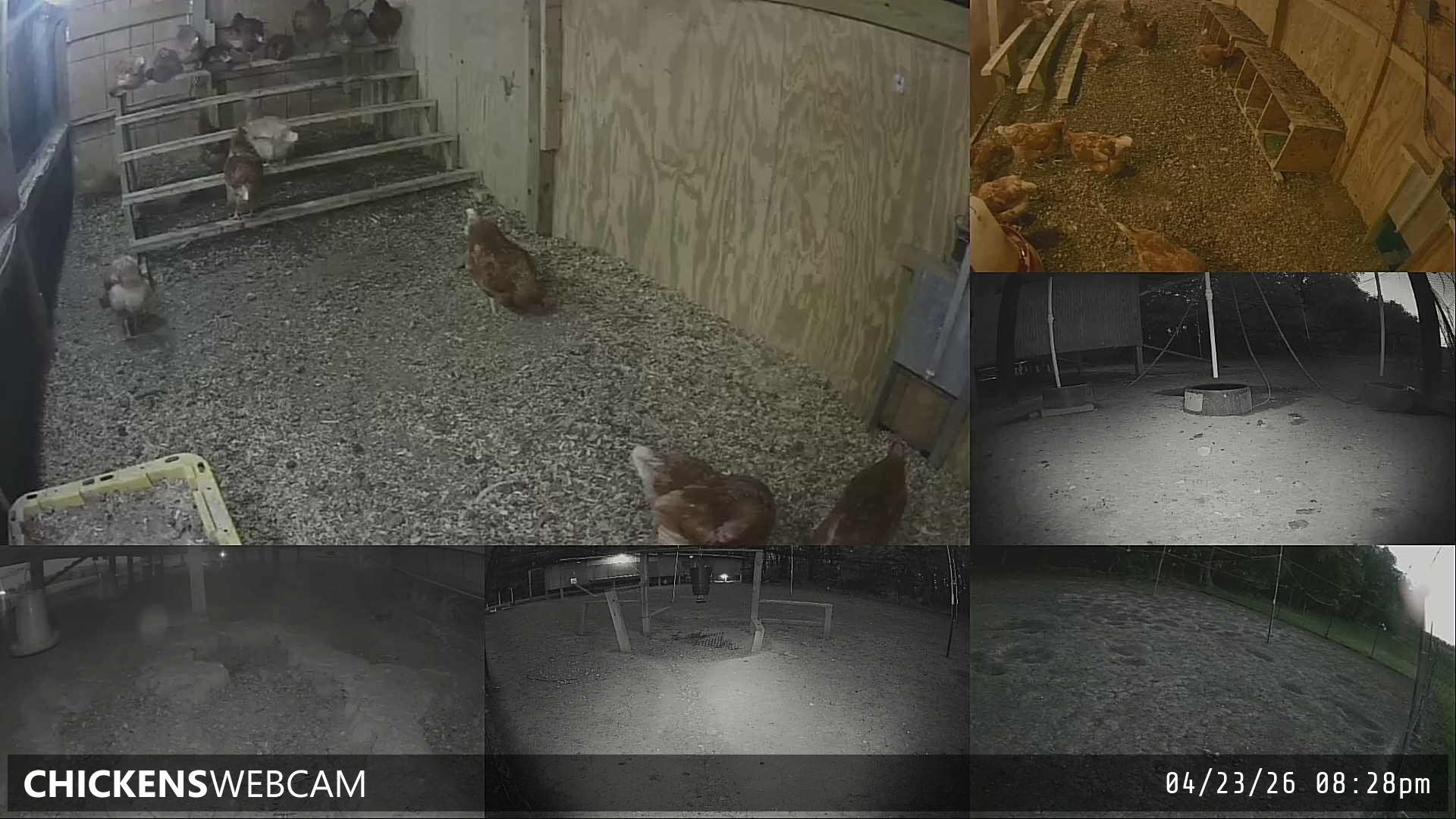 Twitch Stream Preview