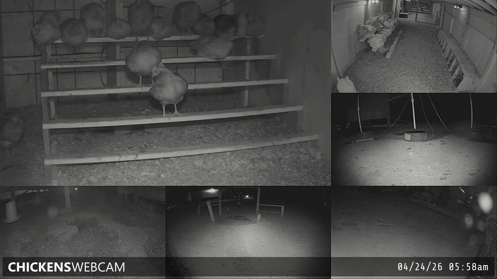 Twitch Stream Preview