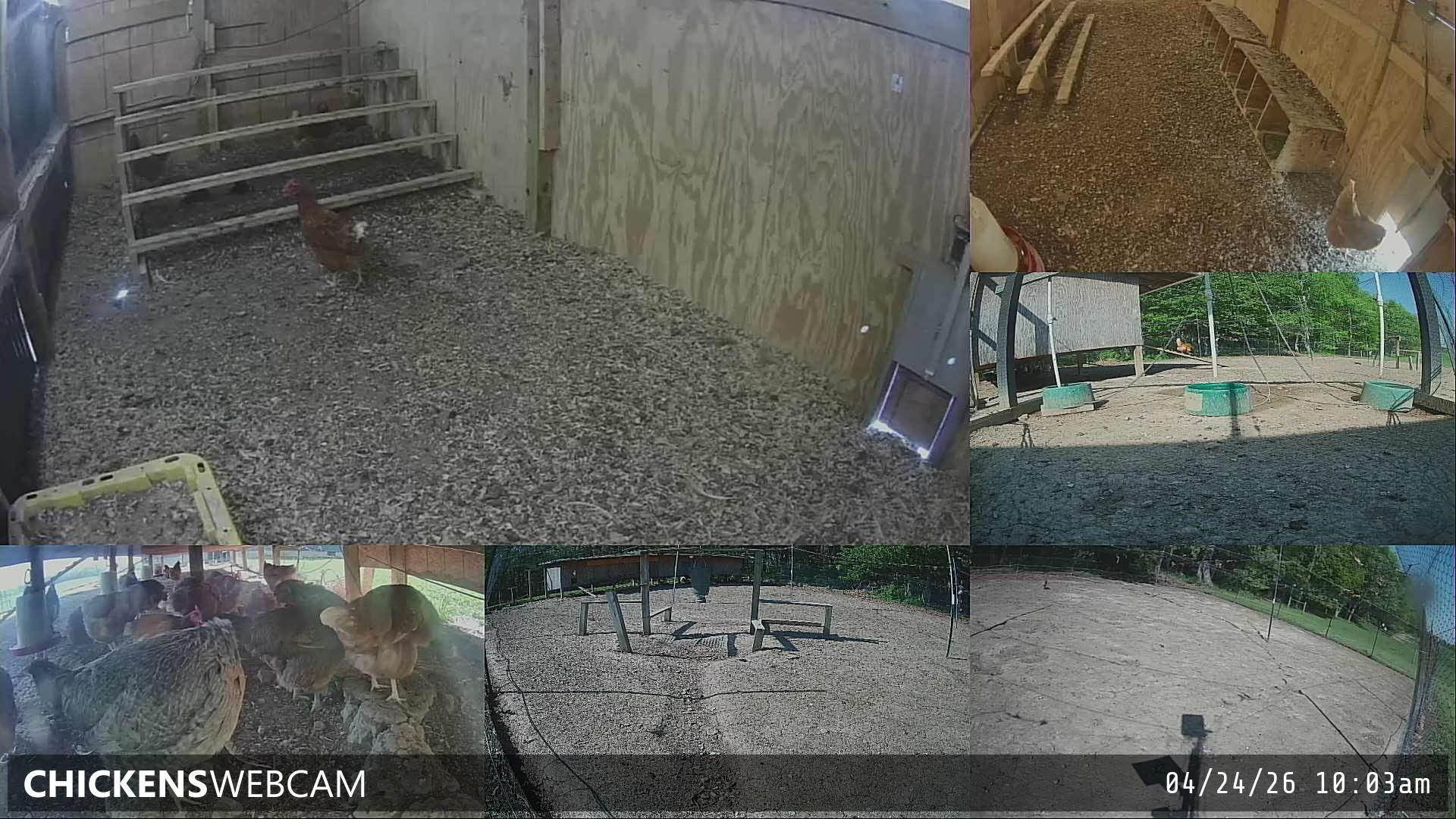 Twitch Stream Preview