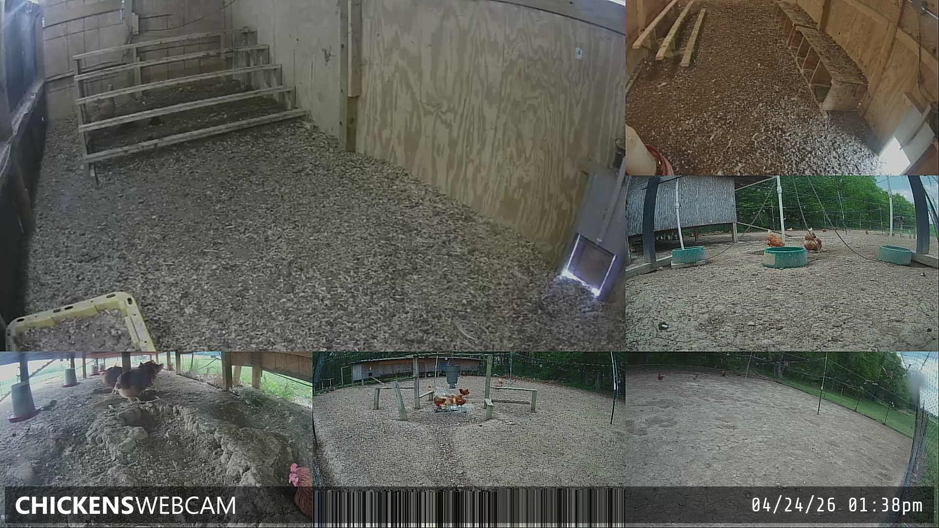 Twitch Stream Preview