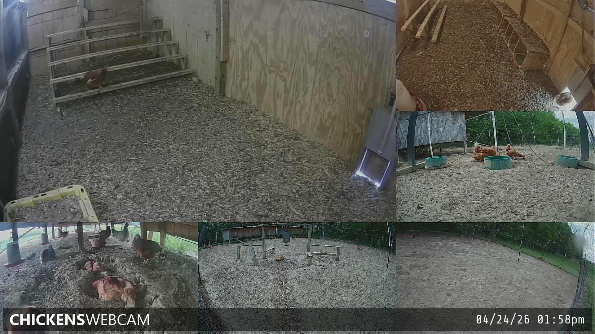 Twitch Stream Preview