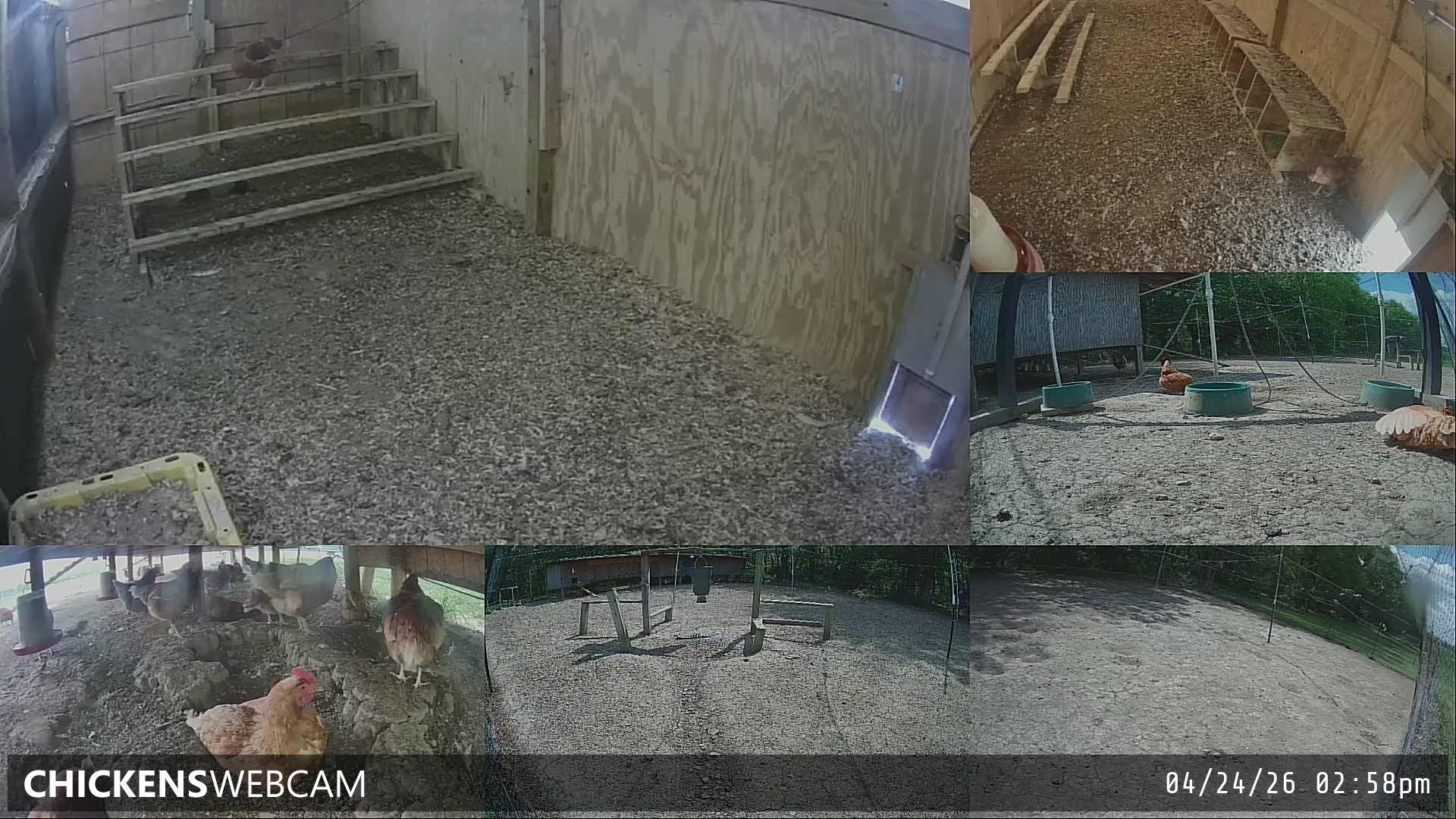 Twitch Stream Preview