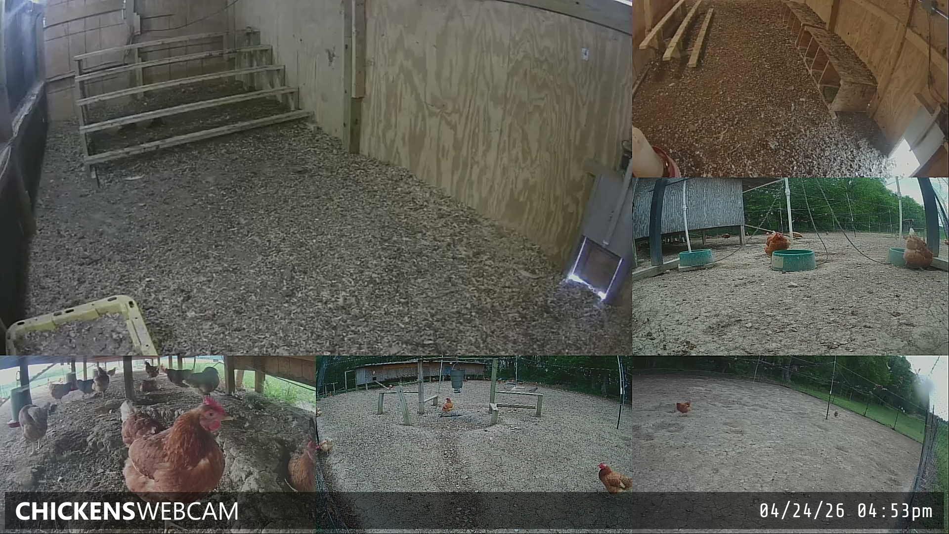 Twitch Stream Preview