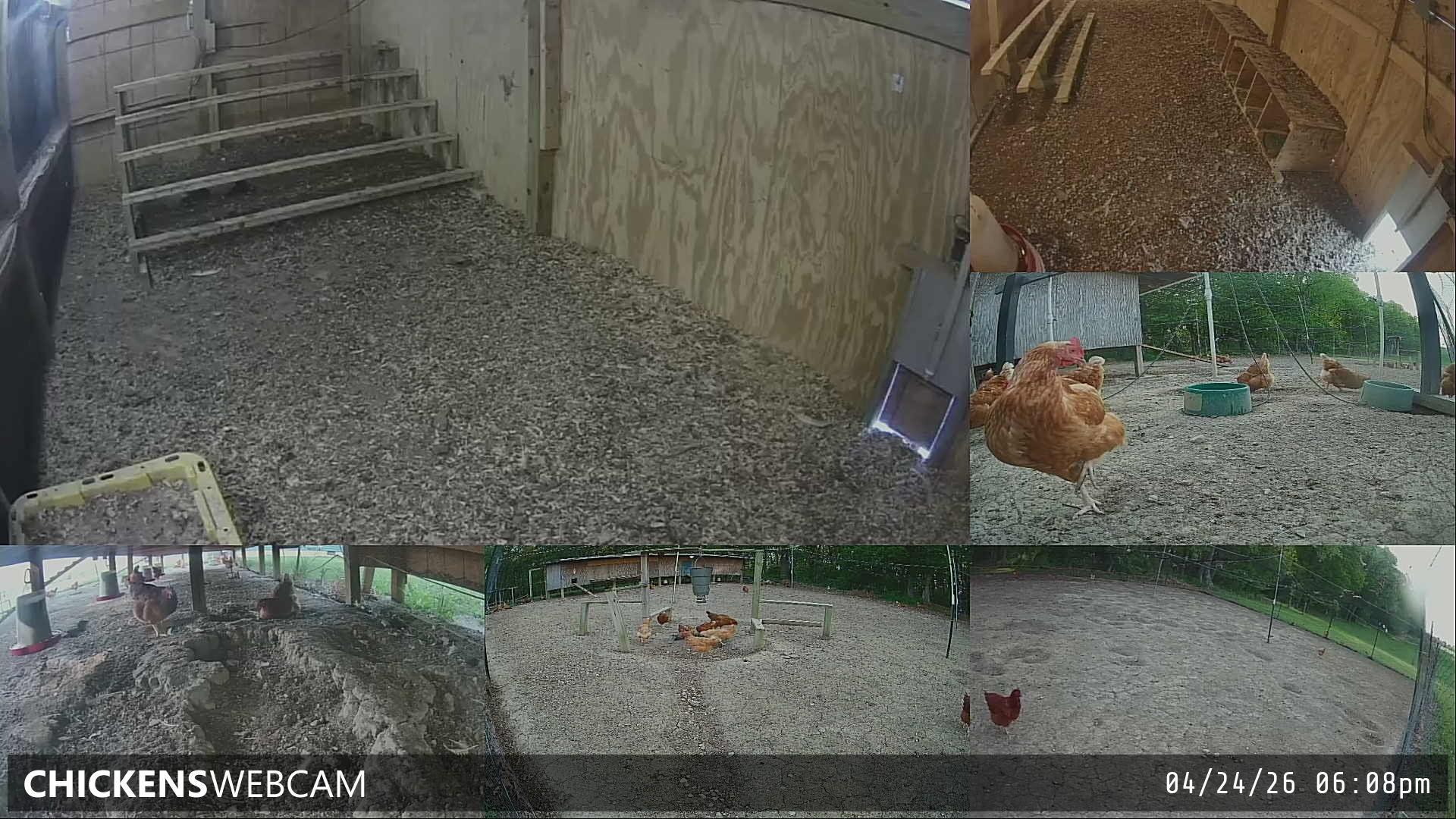 Twitch Stream Preview