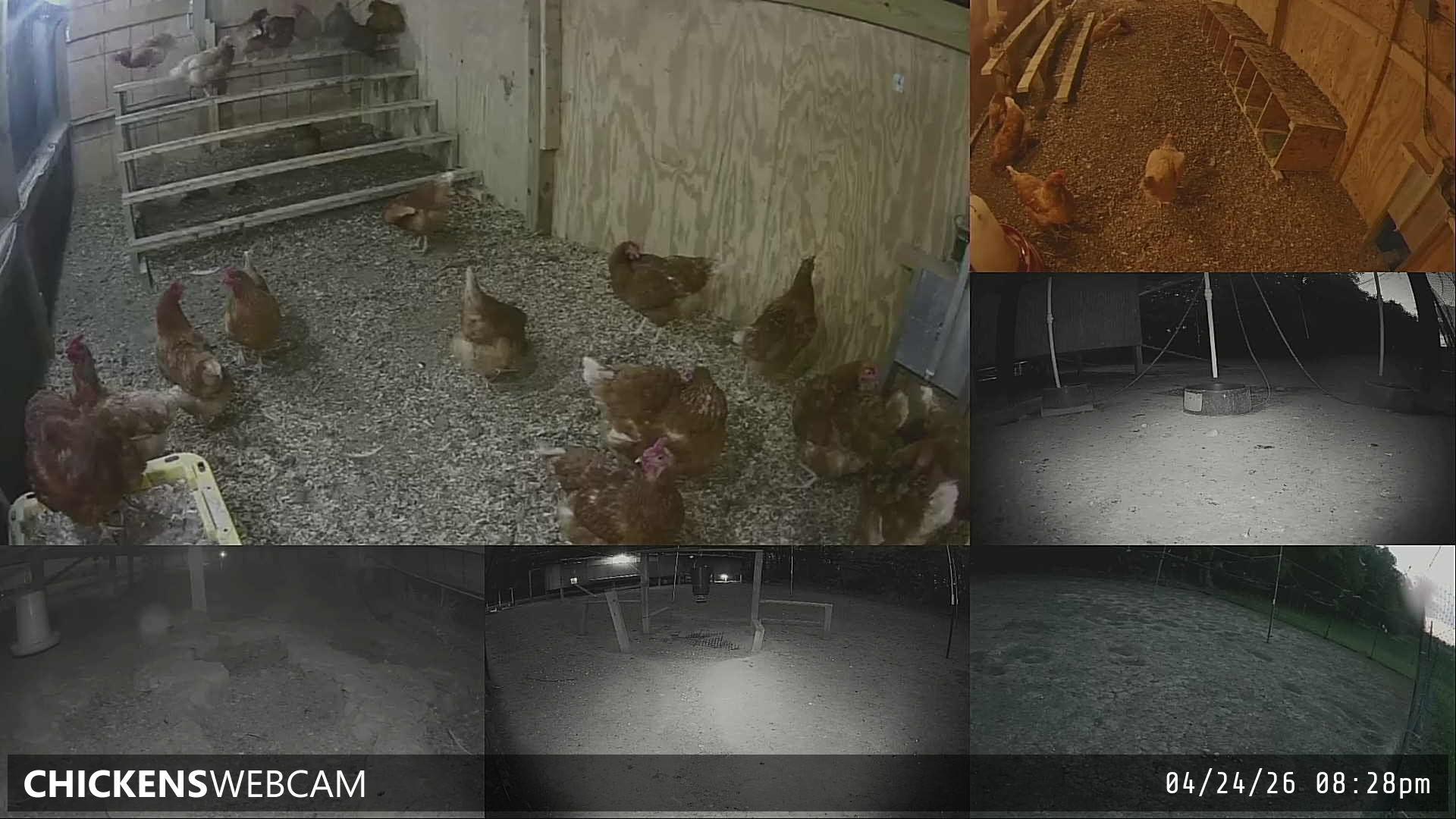 Twitch Stream Preview