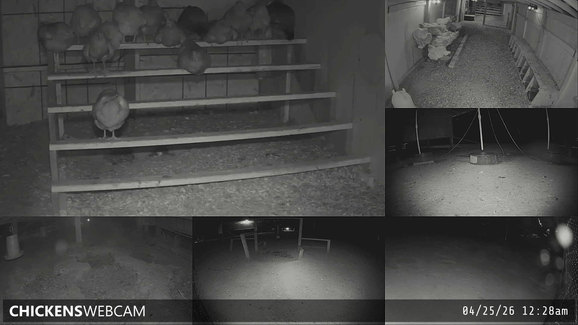 Twitch Stream Preview