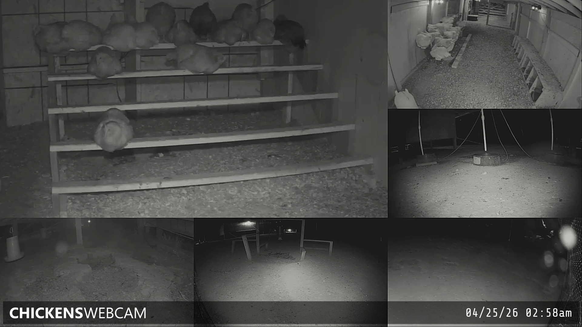 Twitch Stream Preview