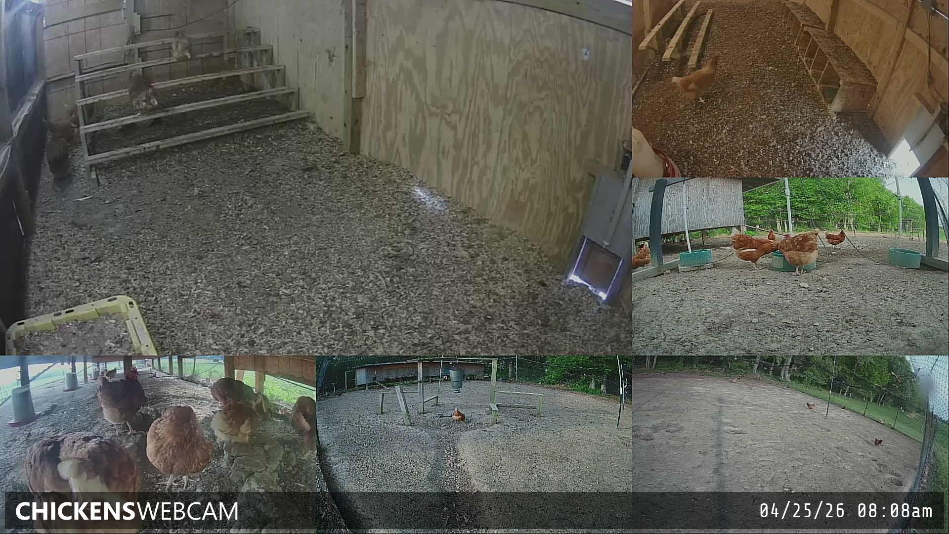 Twitch Stream Preview