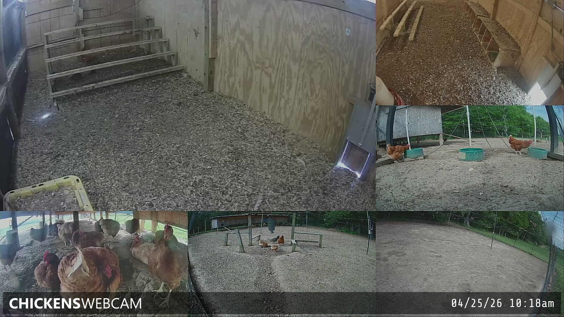 Twitch Stream Preview