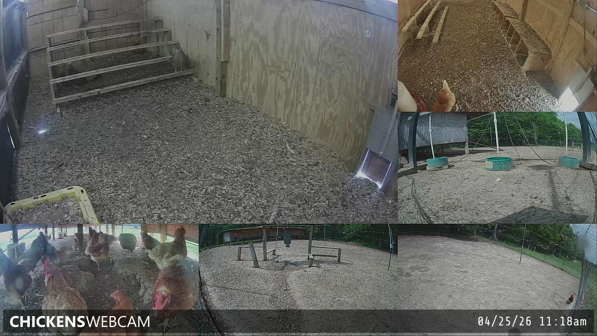 Twitch Stream Preview