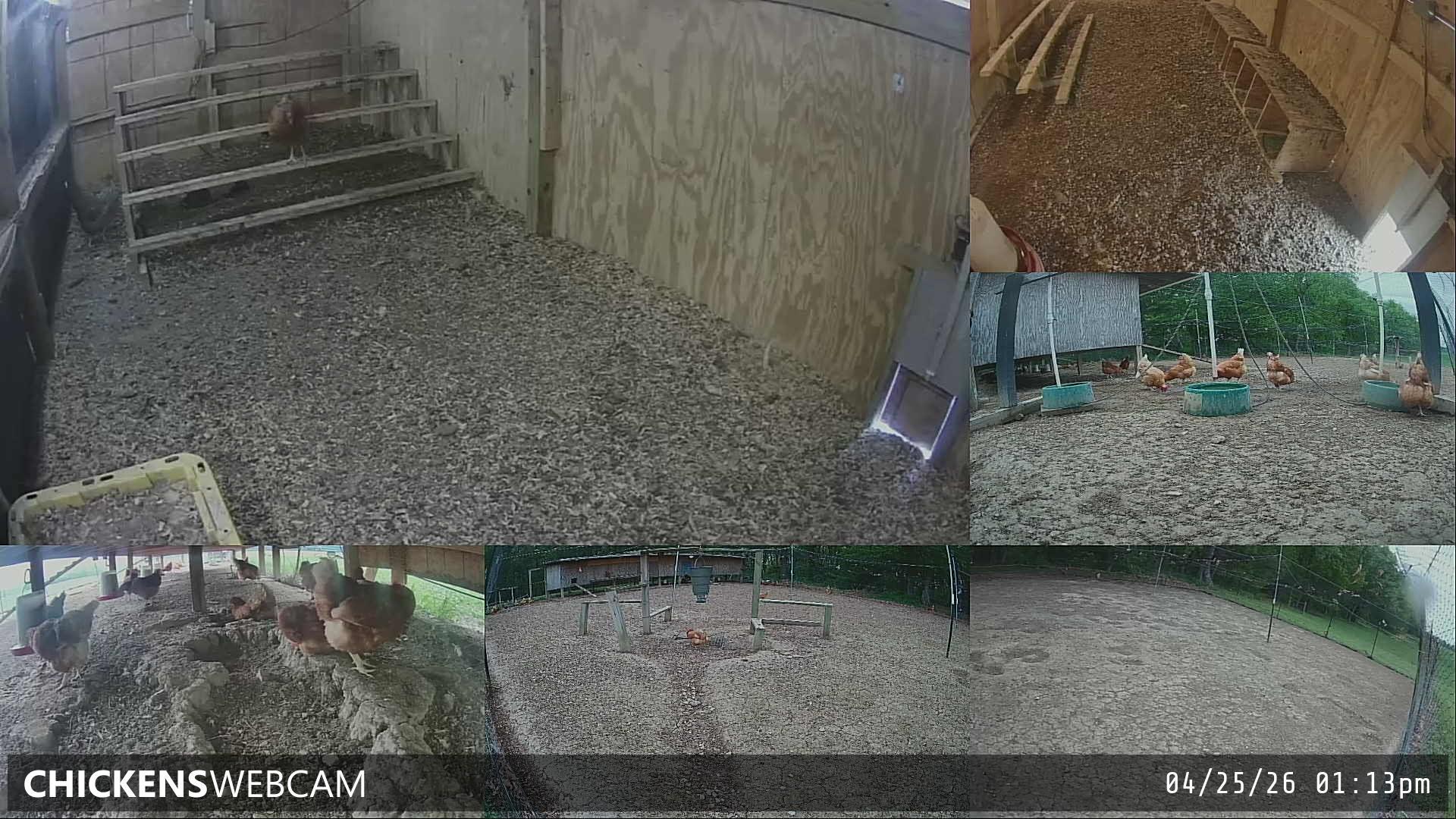 Twitch Stream Preview