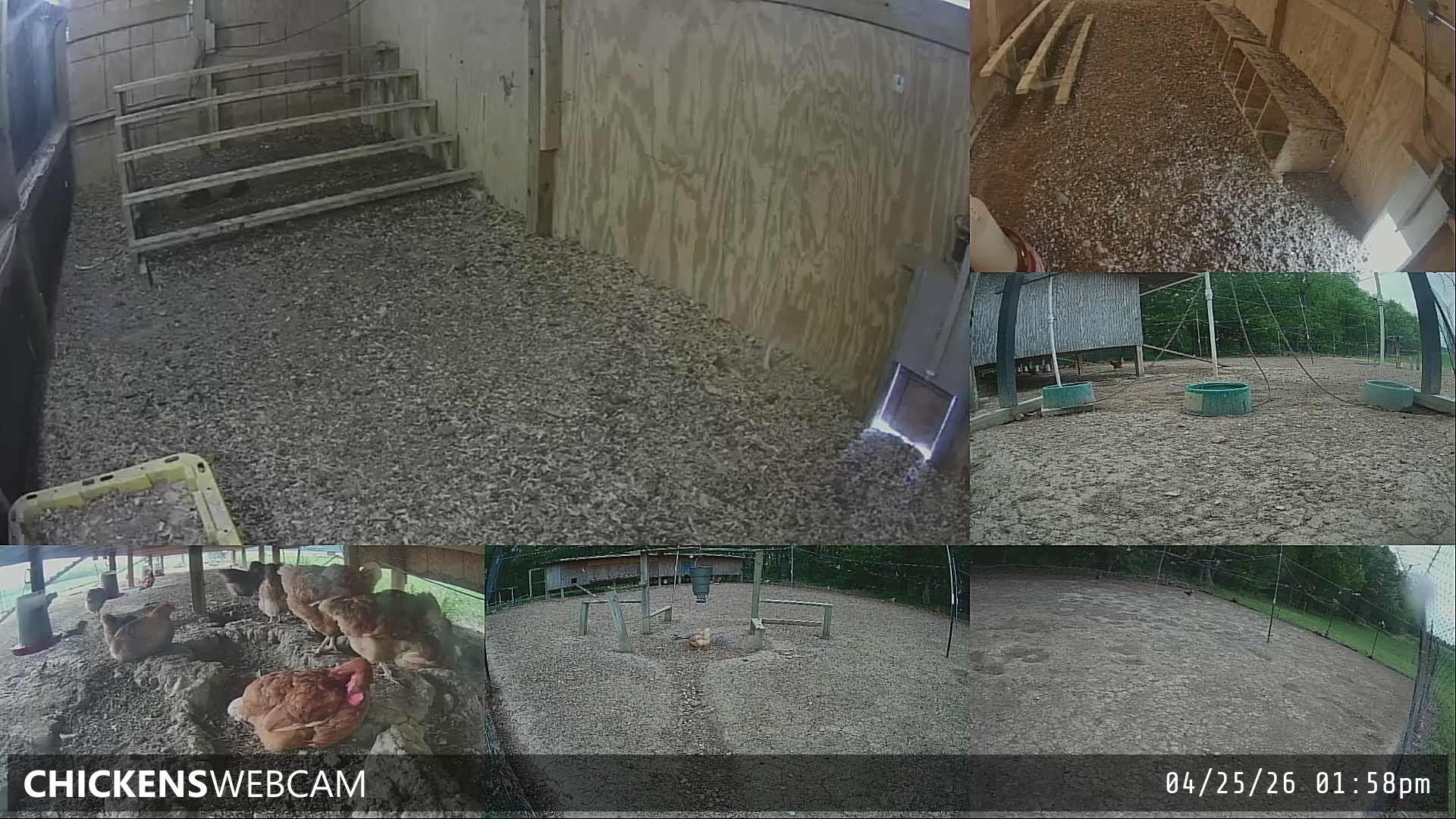 Twitch Stream Preview