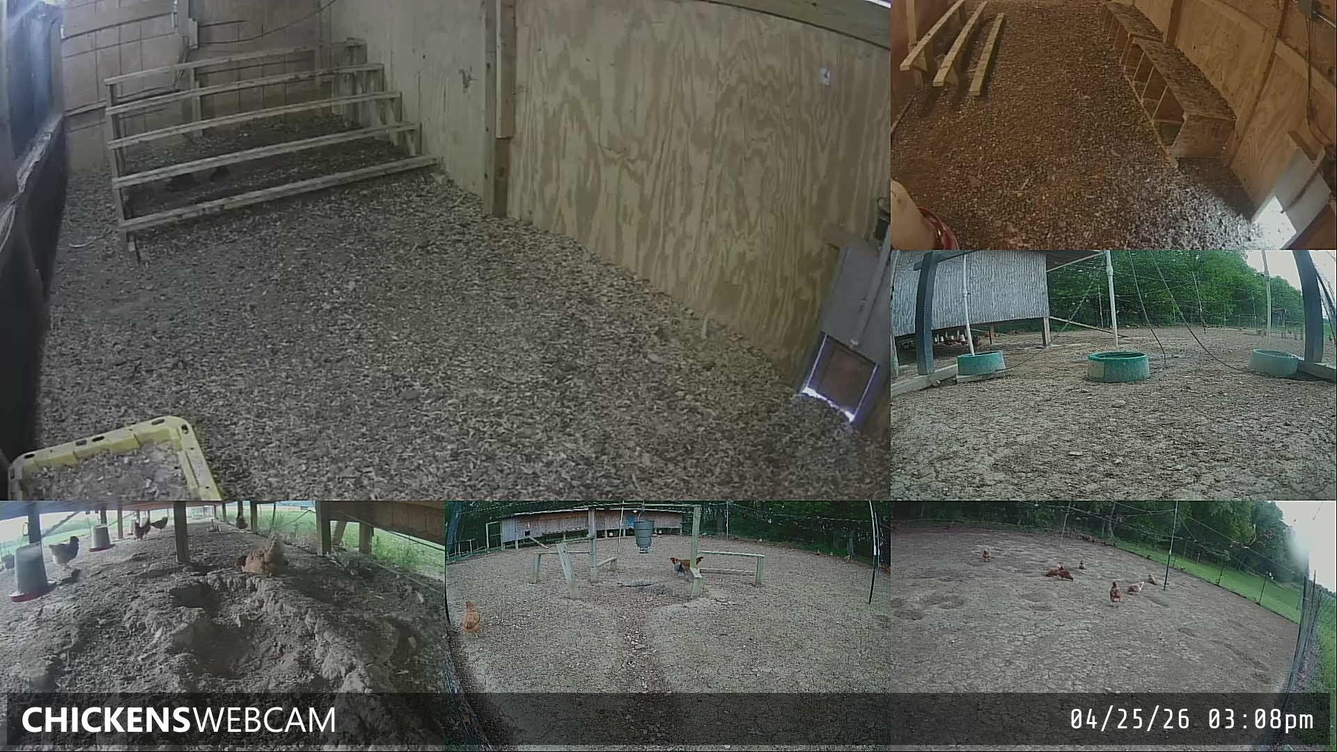 Twitch Stream Preview