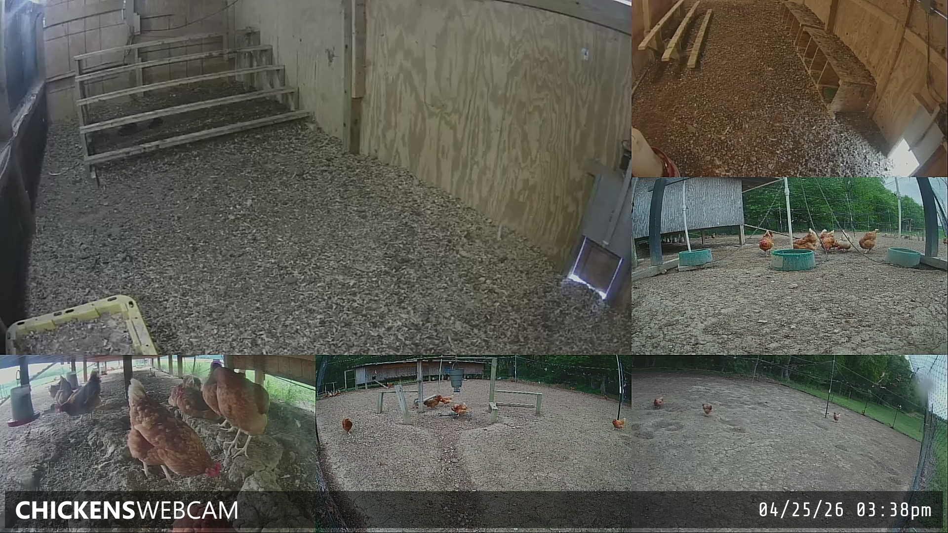 Twitch Stream Preview