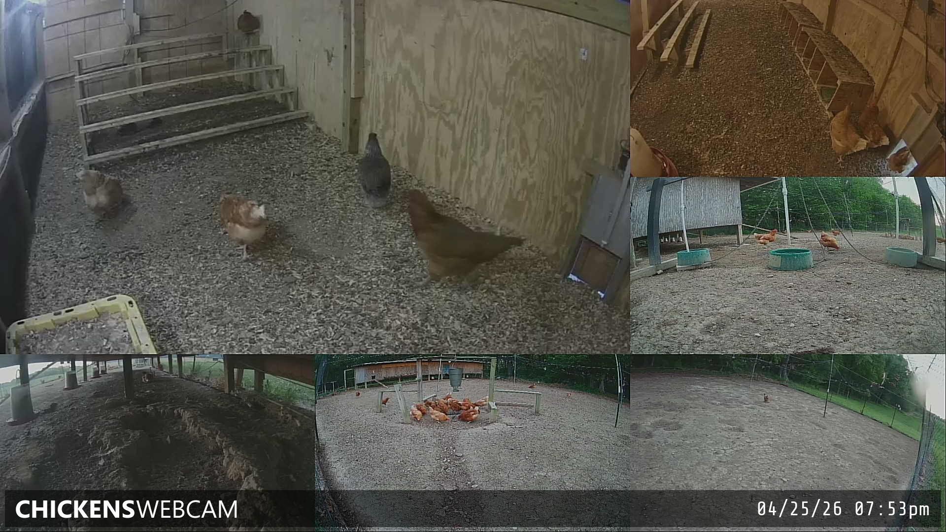 Twitch Stream Preview