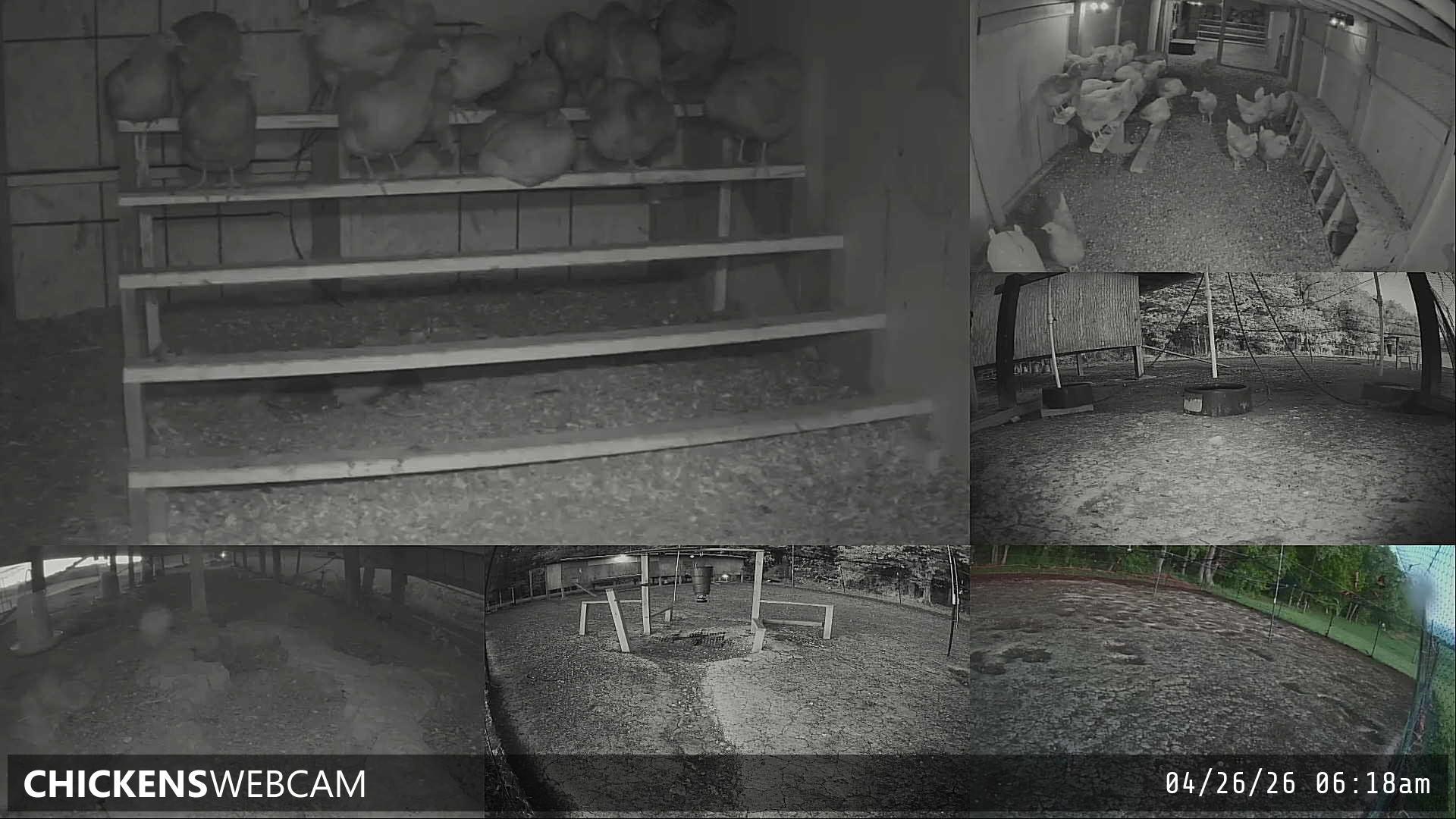 Twitch Stream Preview