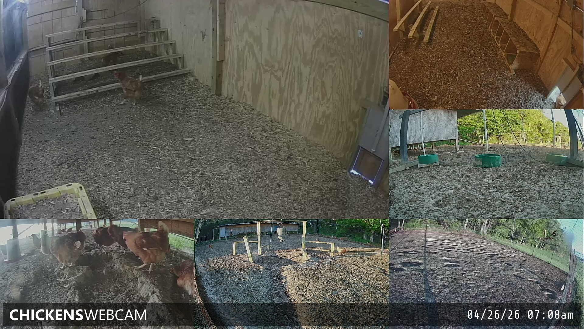 Twitch Stream Preview